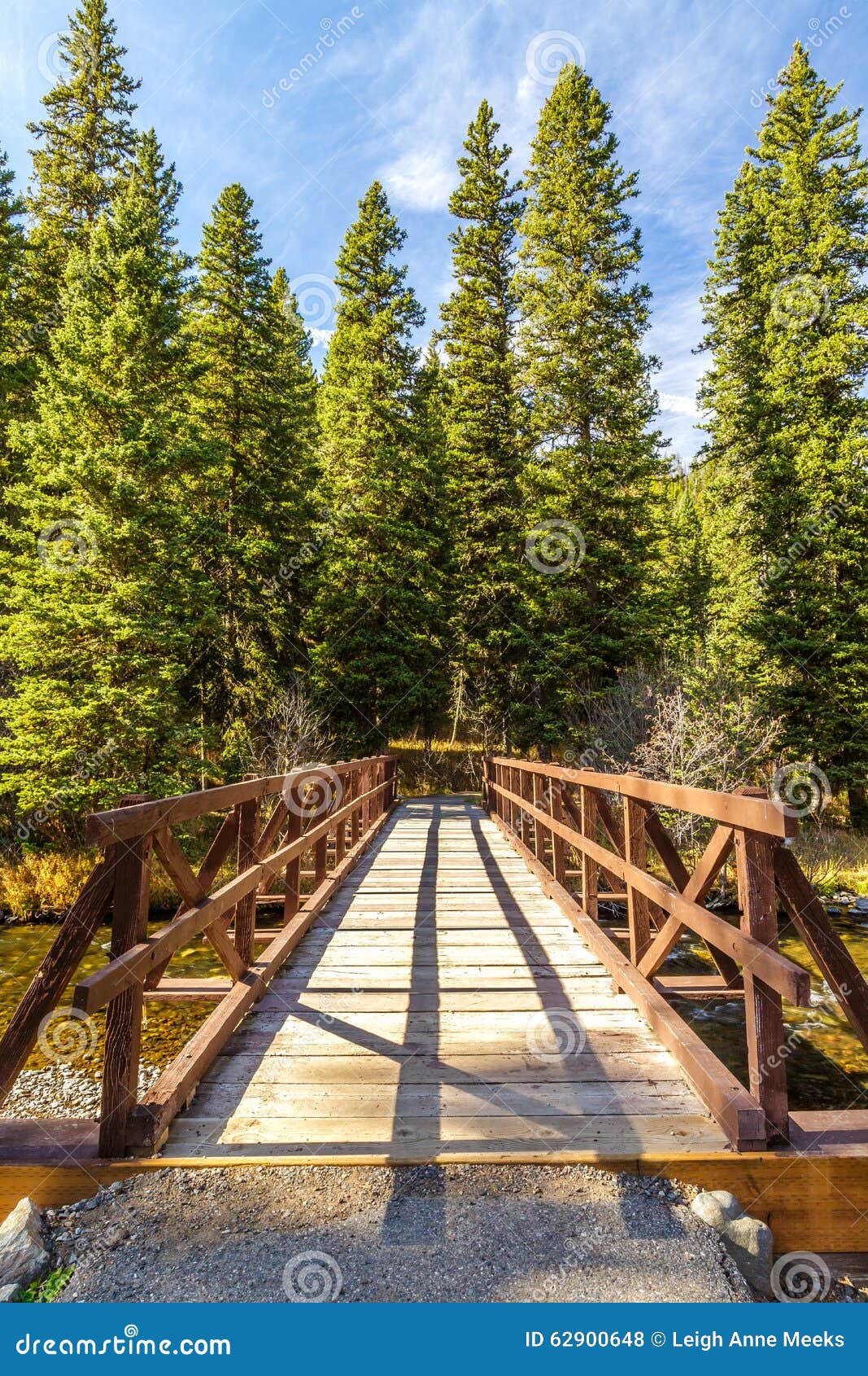 hyalite creek bridge