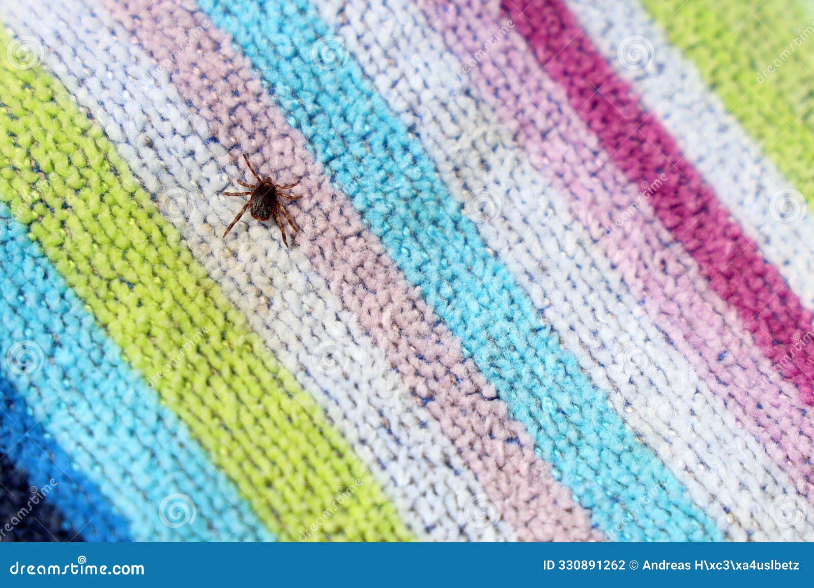 hyalomma tick on colorful beach towel, danger on holiday in the mediterranean due to increasing populations of ticks