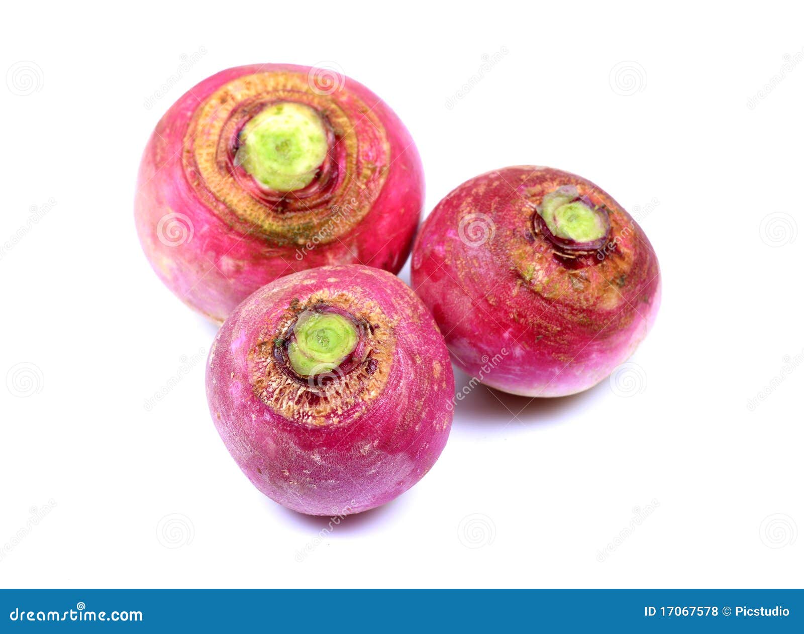 Hybrid red turnips stock photo. Image of vegetable, sprout 17067578