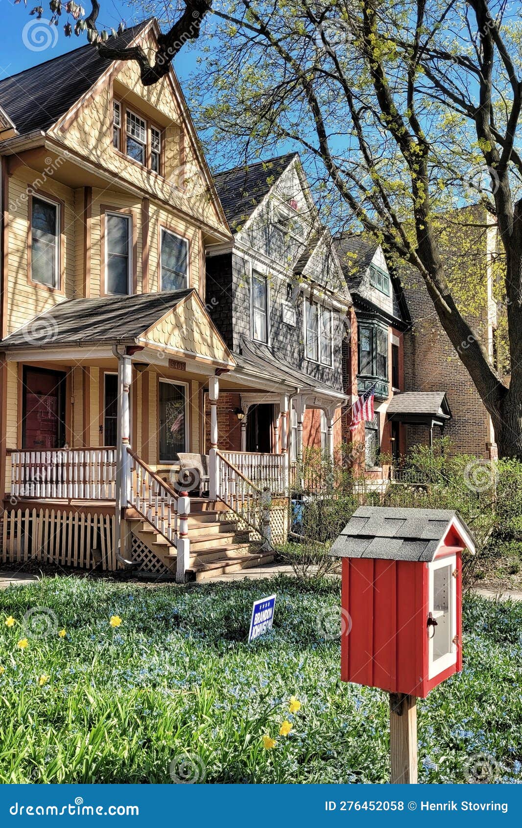 Hyde Park houses, Chicago editorial stock photo. Image of park 276452058