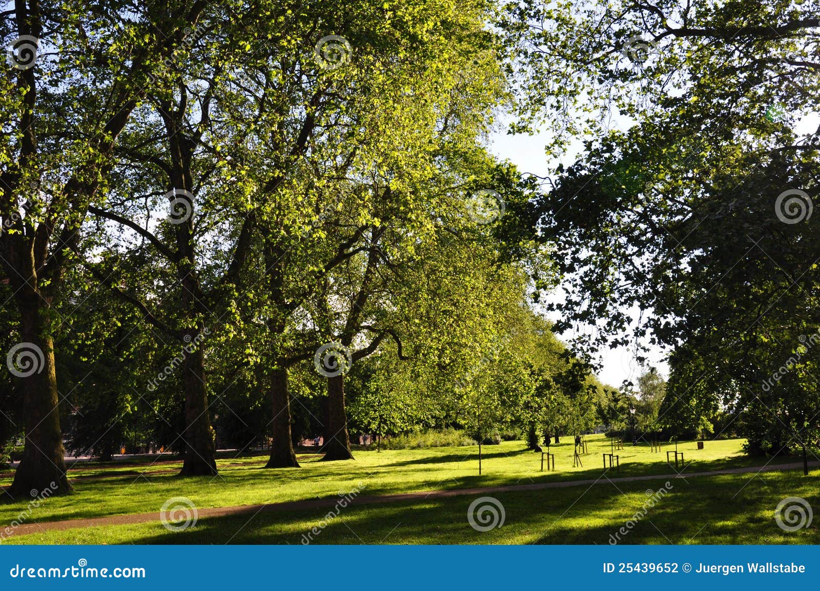 Hyde Park - London, UK stock photo. Image of hyde, grass - 25439652
