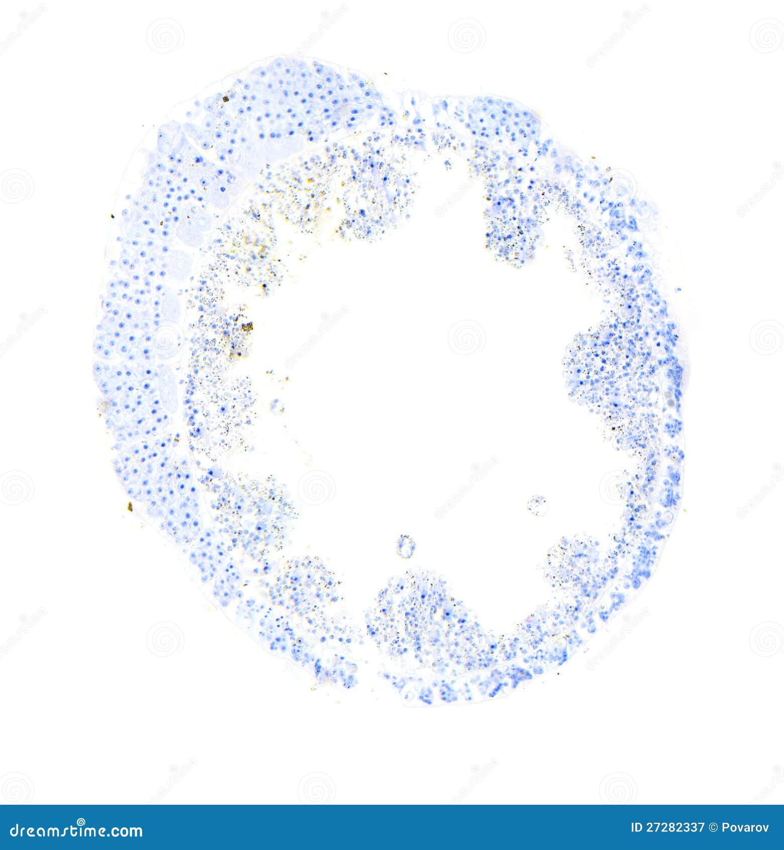 Hydra Как Загрузить Фото Hydra Как Загрузить Фото