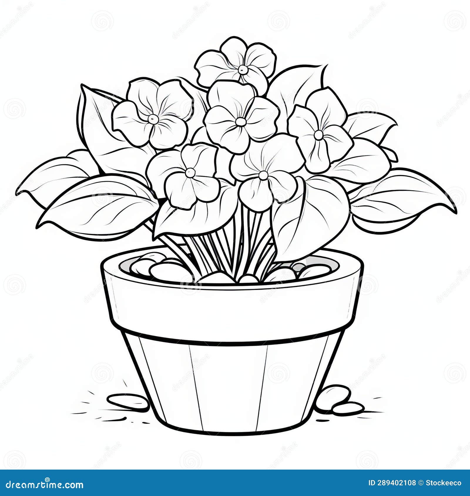 Hydrangea Coloring Page for Children: Haworthia Fasciata Plant in ...