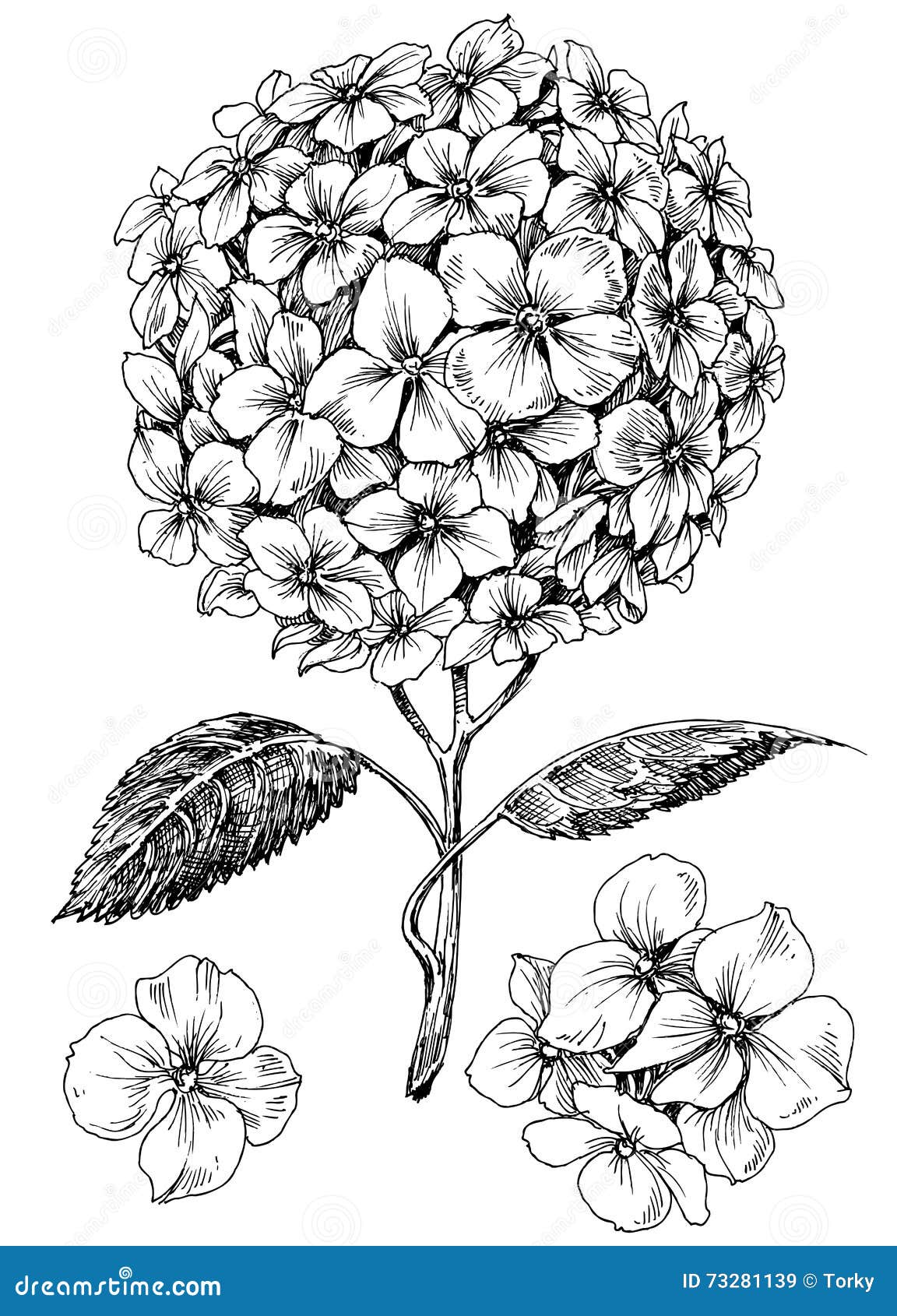 Hydrangea Silhouette Vector: Tattoo-inspired Black And White Flower ...