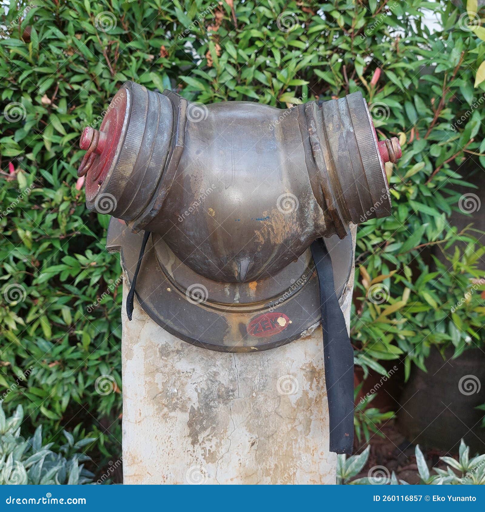 Hydrant Installed in the Garden Area Stock Image Image of flower