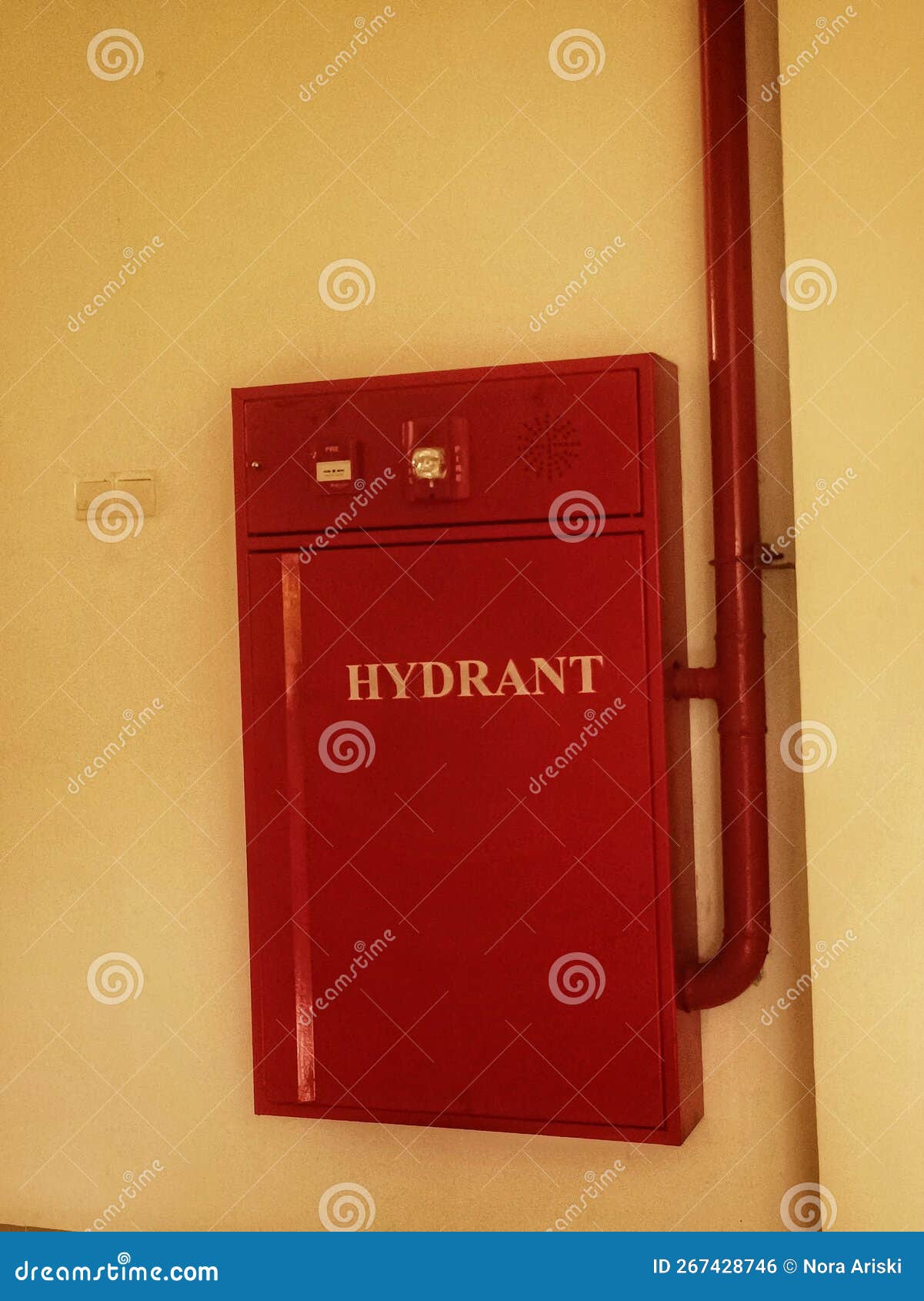 Hydrants are Connection Points Where Firefighters Can Utilize Existing