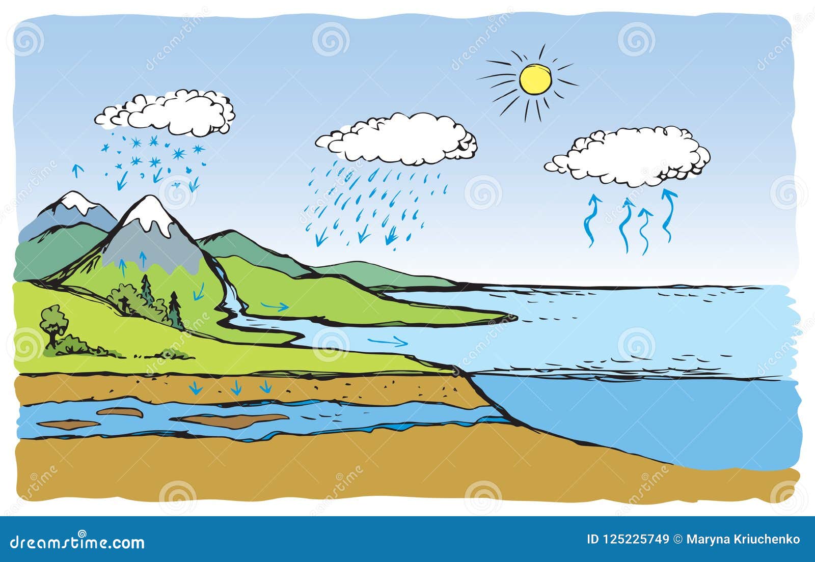 Water Cycle – Hindi – SmallScience