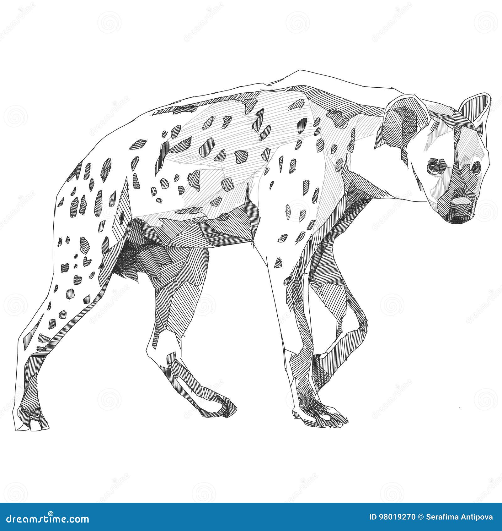 How to Draw a Hyena