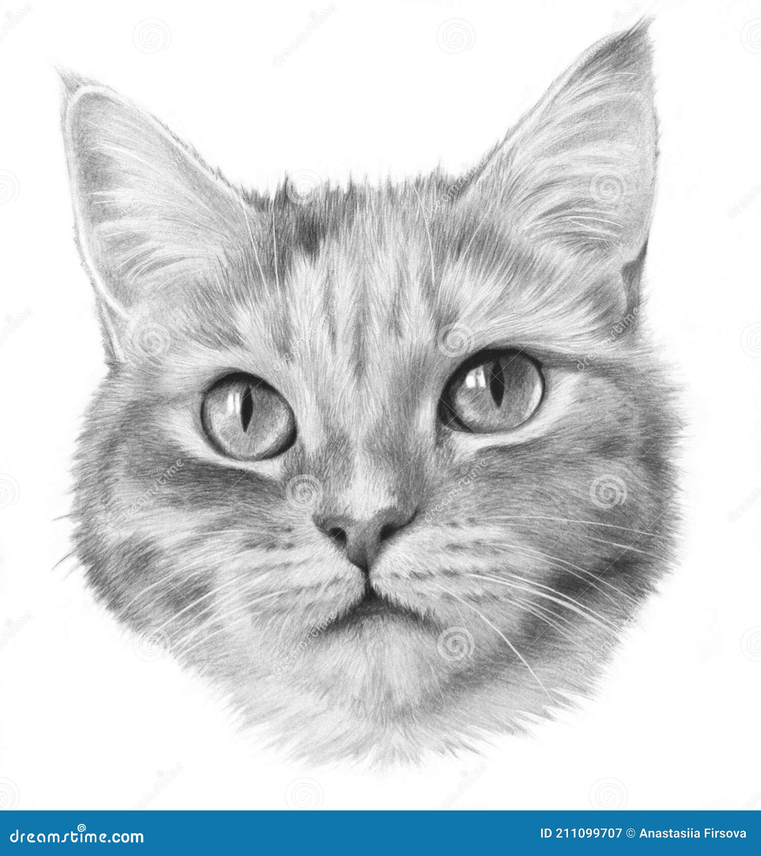 Realistic cat  sketch  LPS Amino