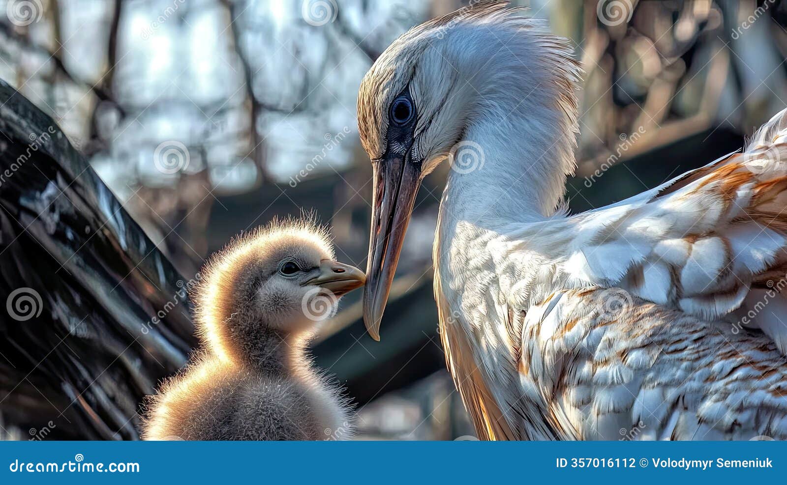 hyperrealistic capture of a storck nurturing its young in a serene natural setting