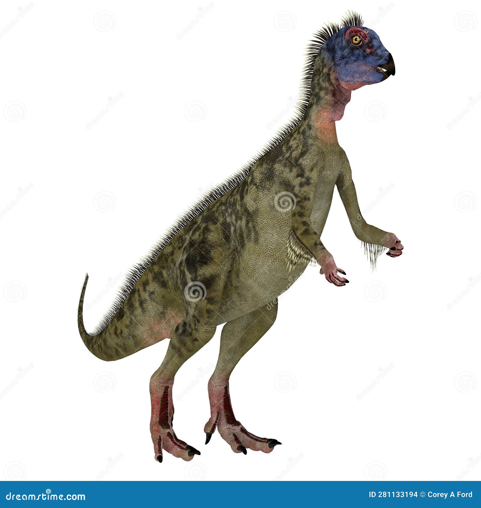 cretaceous hypsilophodon feathered dinosaur that lived in england