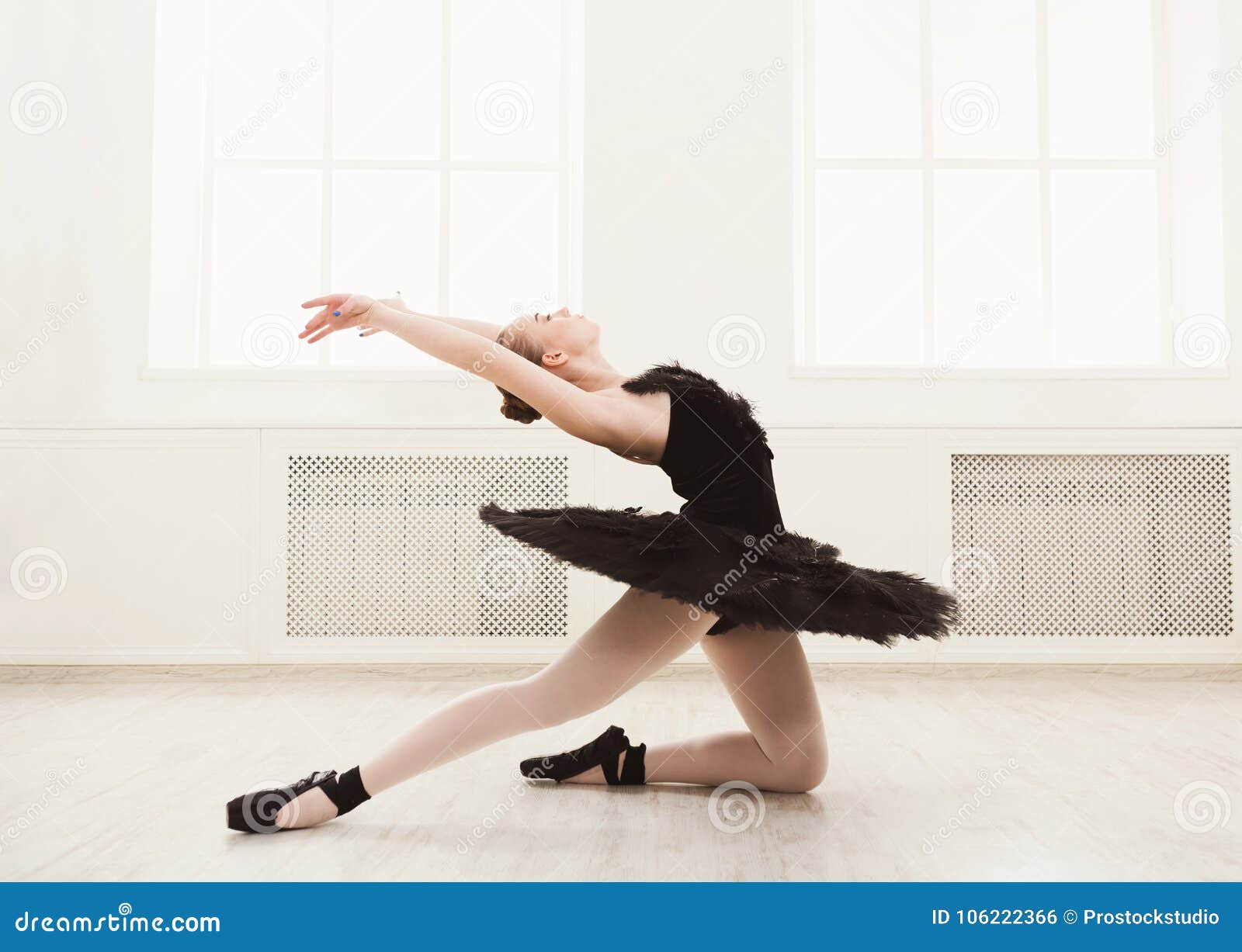 Härlig Behagfull Ballerina I Klänning För Svart Svan Härlig Behagfull Ballerina I Klänning För Svart Svan