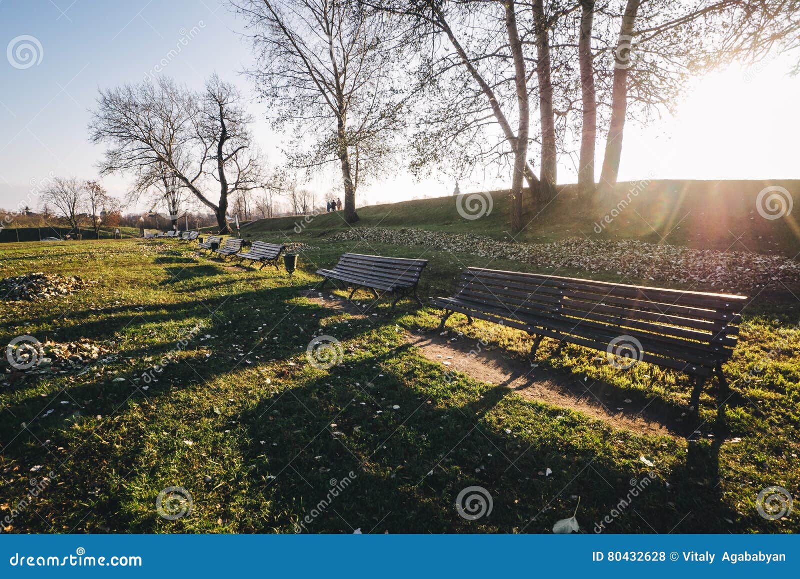 Hölzerne Parkbank an einem sonnigen Tag