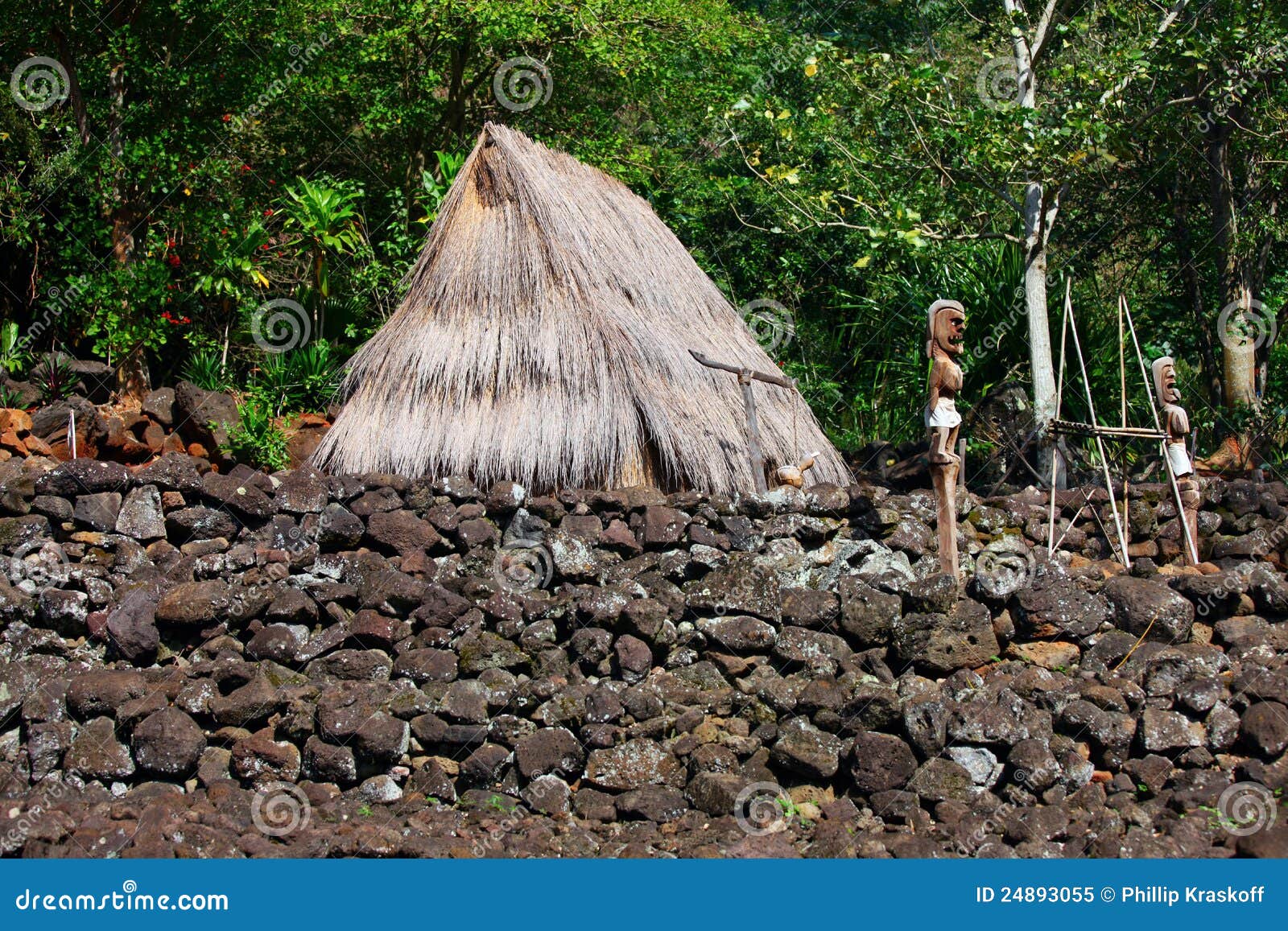 Hütte Und Abbildungen, Traditionell, Hawaii Stockbild - Bild von senke