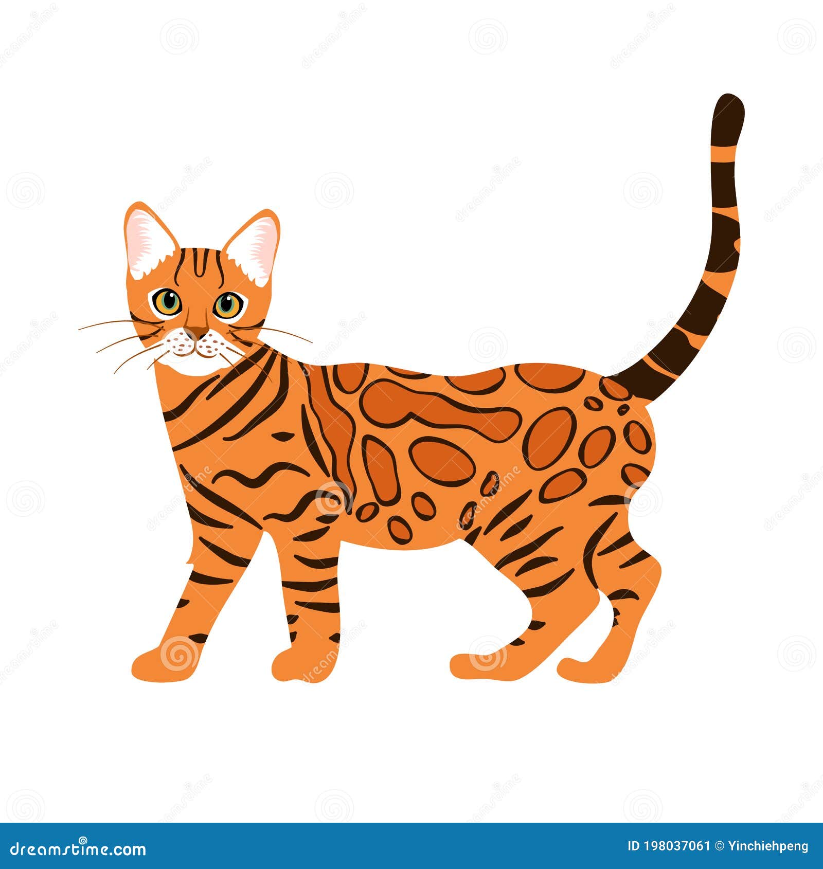 Cartoon Bengal Cat Stock Illustrations – 3,958 Cartoon Bengal Cat Stock  Illustrations, Vectors & Clipart - Dreamstime