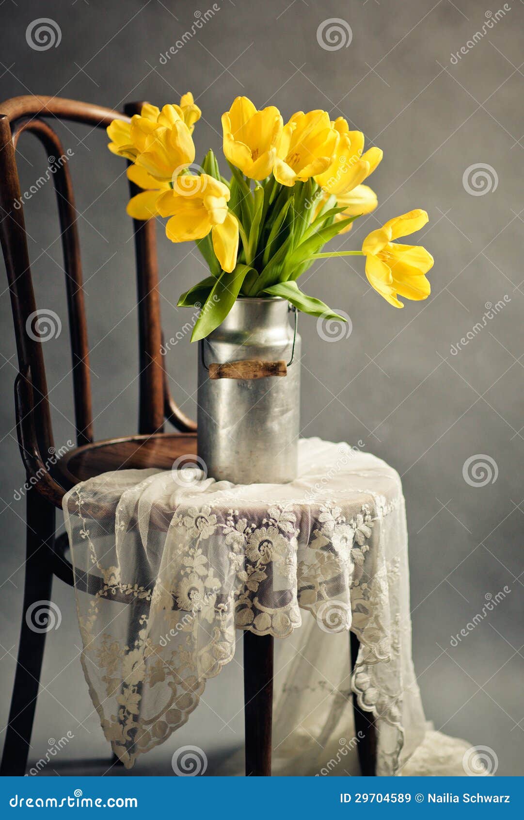 Natura morta con i tulipani gialli. I bei tulipani gialli luminosi in natura morta con vecchio latte possono sulla sedia di legno antica con il panno del pizzo