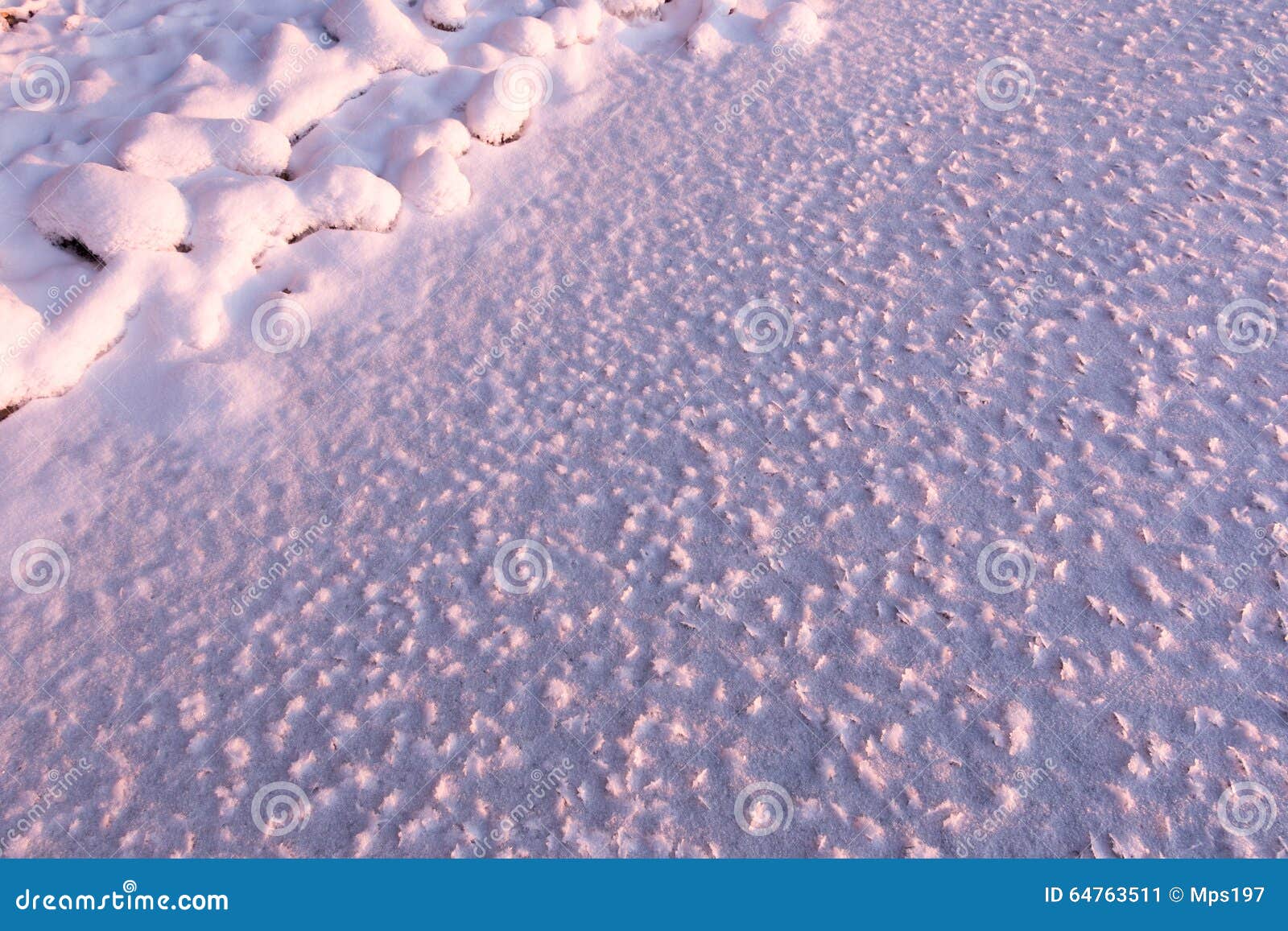 I cristalli di ghiaccio si sono formati sulla riva al ghiaccio di un lago congelato