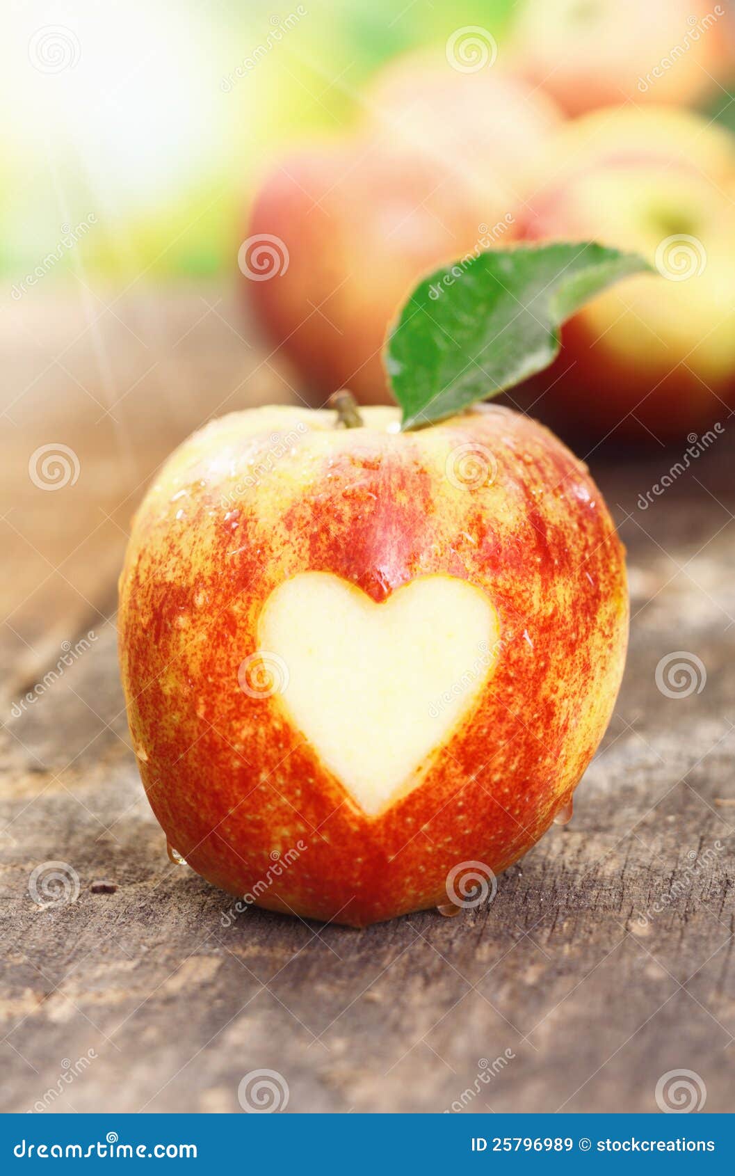 I love apples stock image. Image of blurry, juicy, energy 25796989