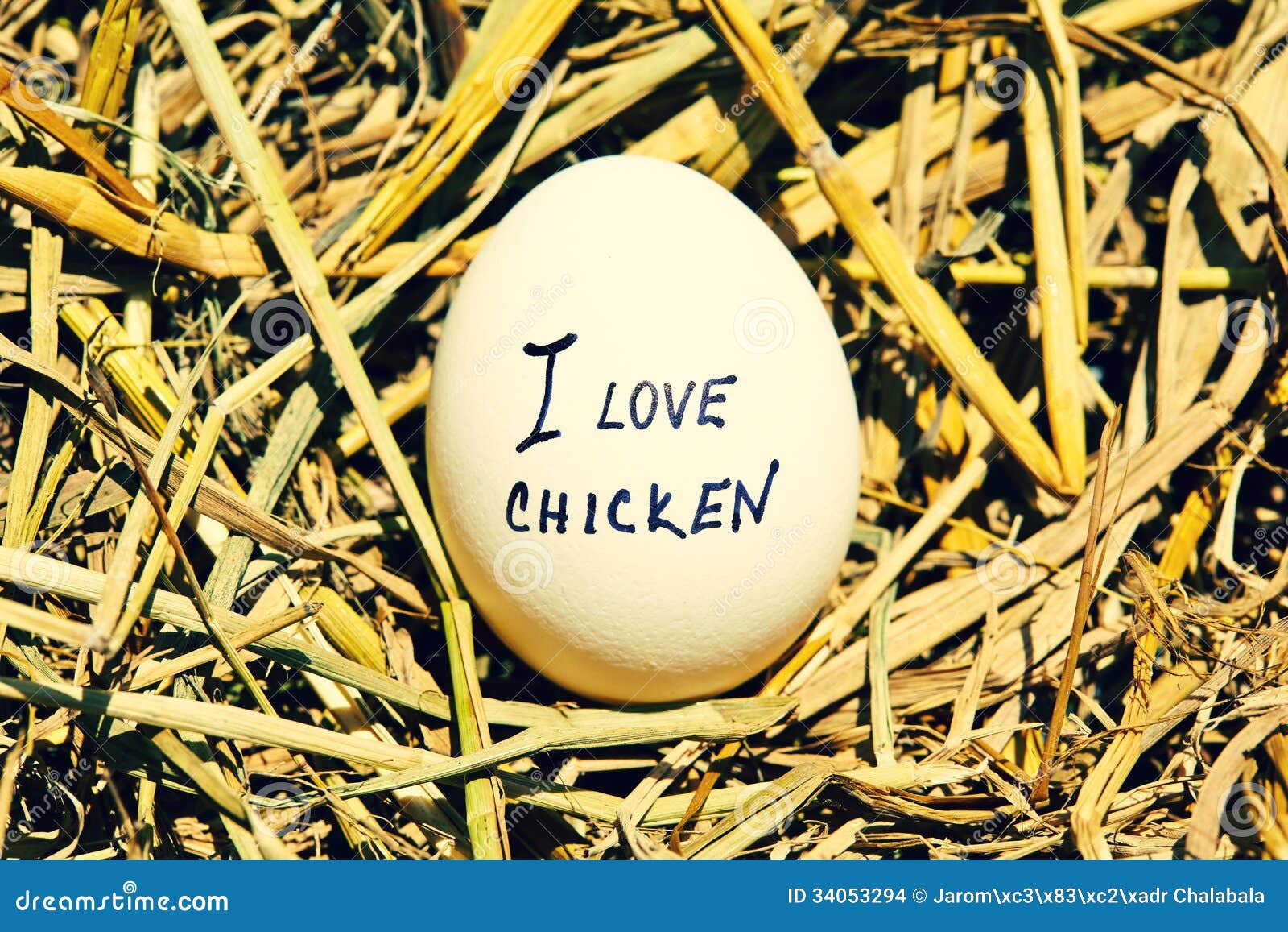 I love chicken stock photo. Image of animal, life, product 34053294