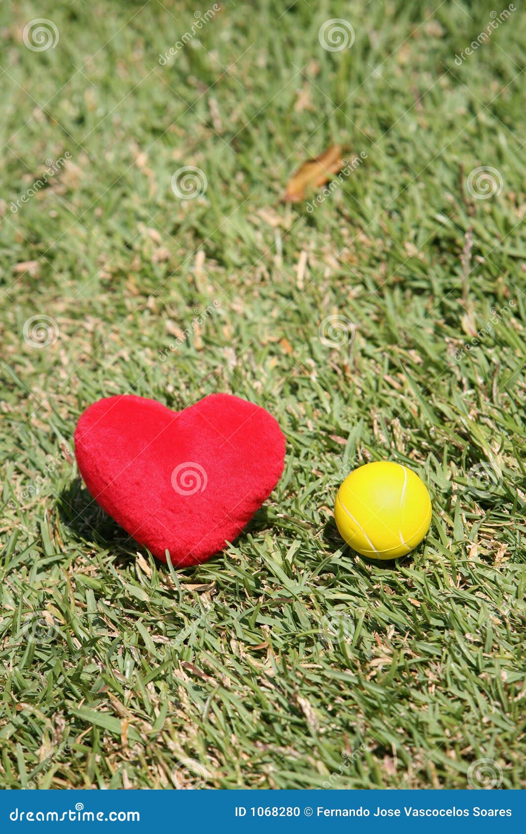 I love tennis stock photo. Image of tennis, golf, love 1068280