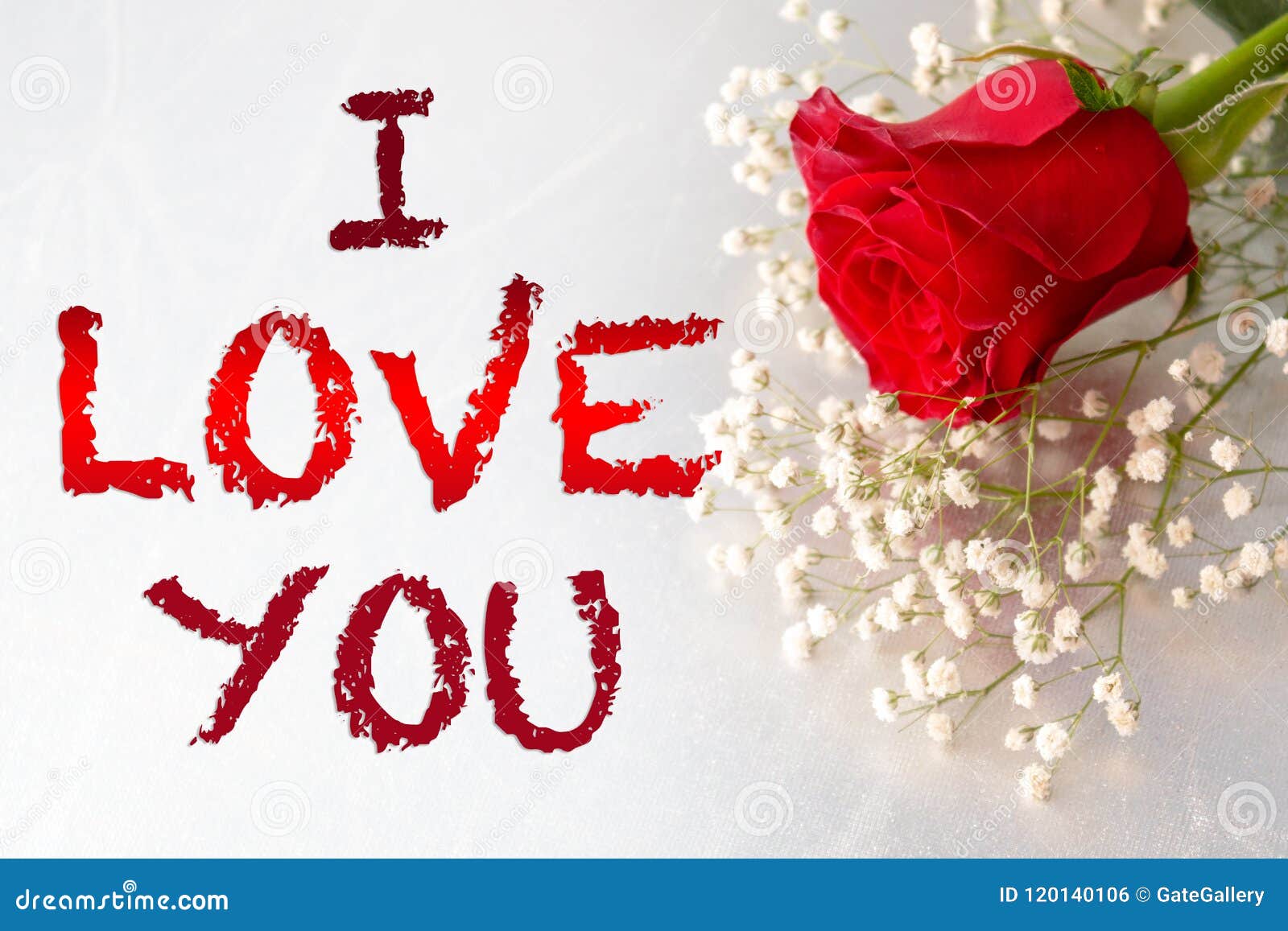 I Love You Gift Card,Red Rose Flower, Stock Photo - Image of ...