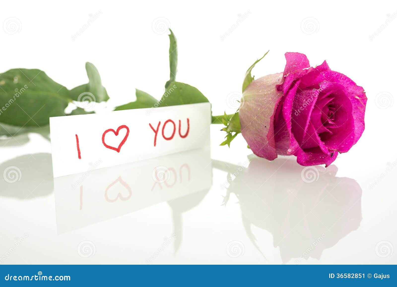 I Love You Message with a Single Pink Rose Stock Image - Image of ...