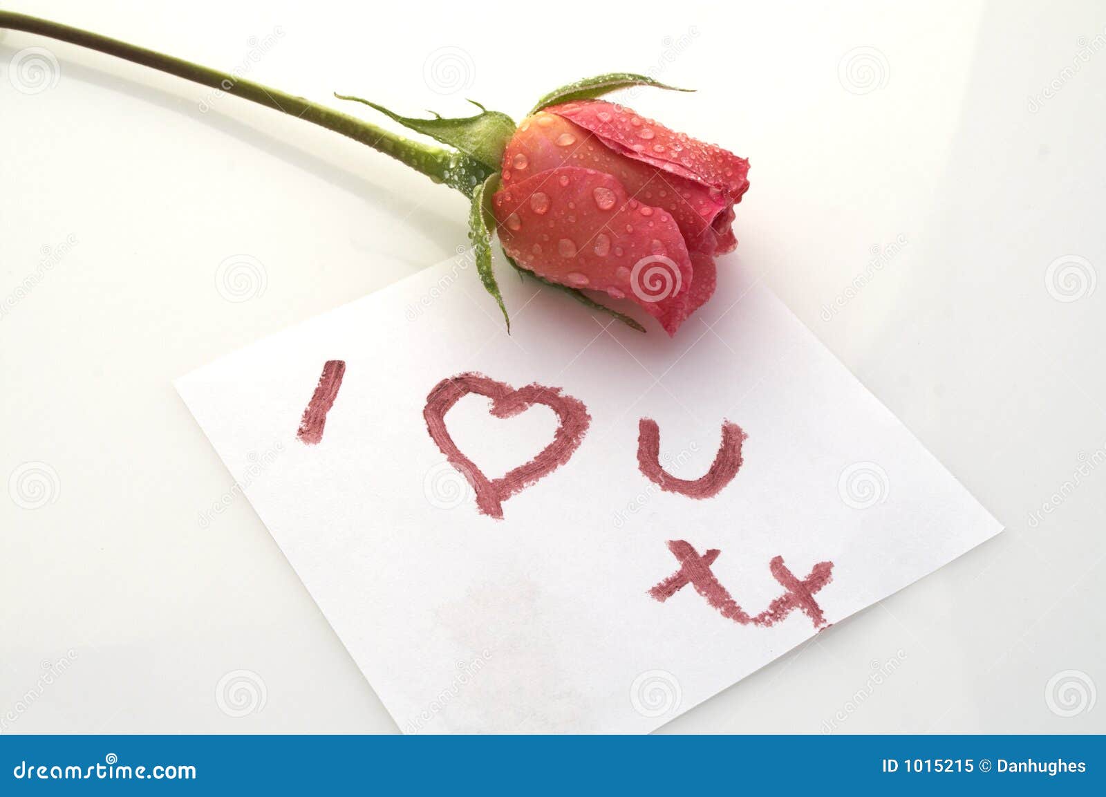 2,063 I Love You Rose Stock Photos - Free & Royalty-Free Stock ...