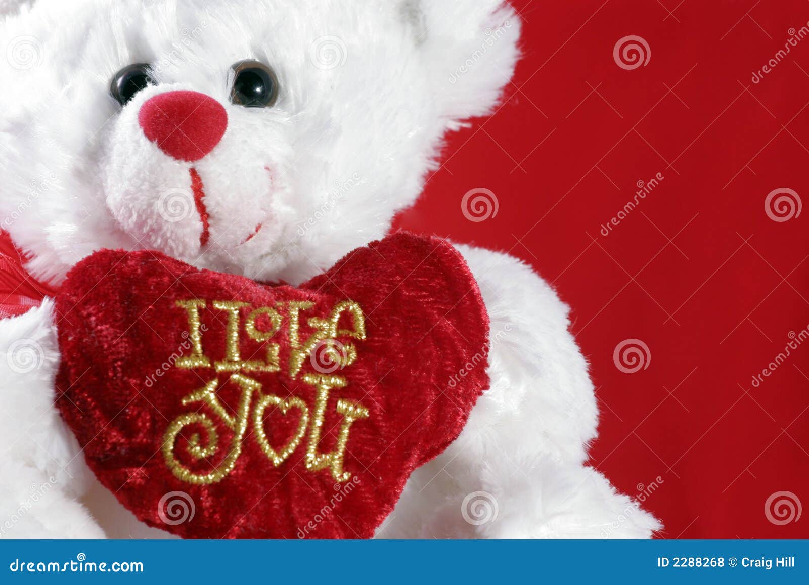 I love you teddy bear stock photo. Image of soft, heart - 2288268