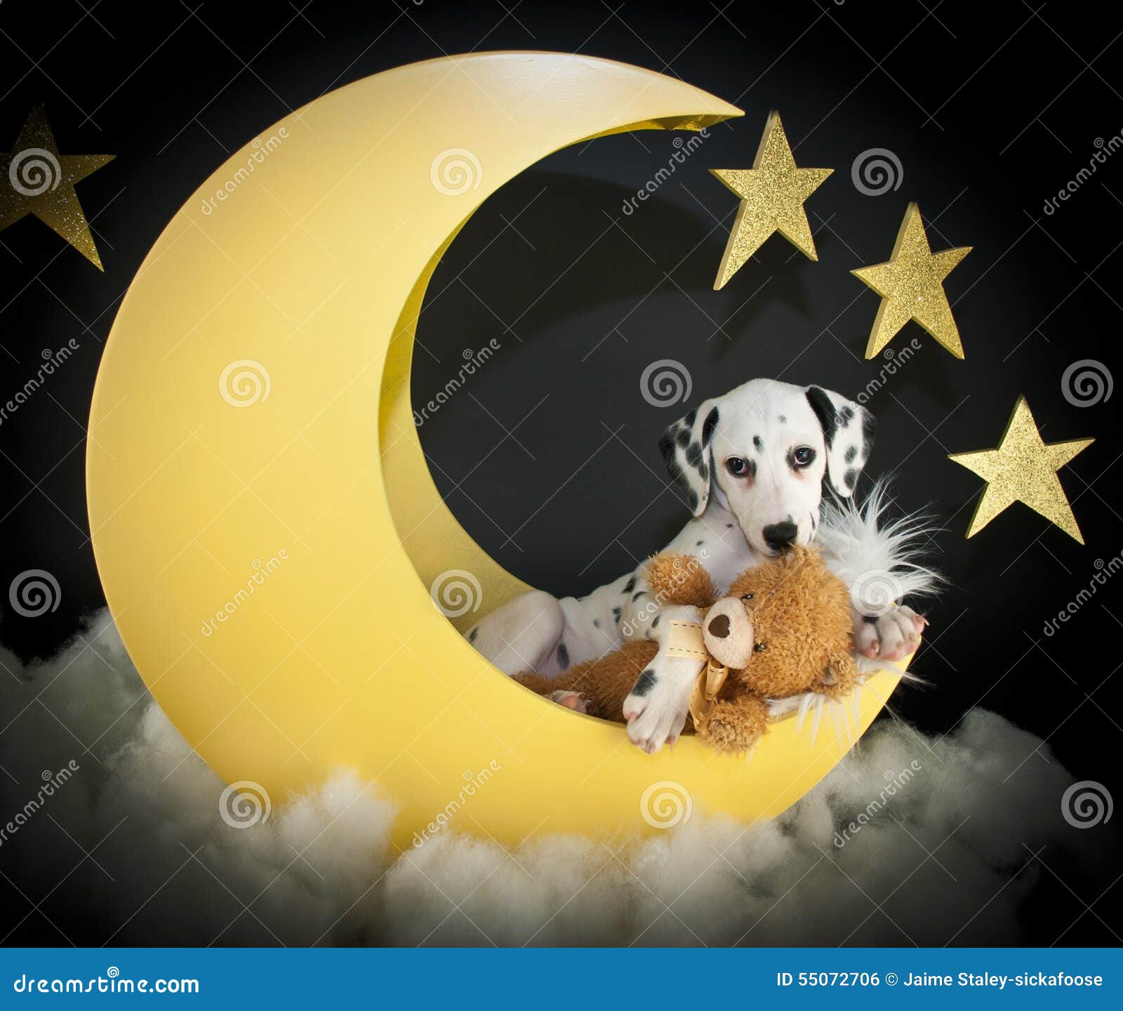 i-love-you-to-moon-back-very-cute-dalmatian-puppy-laying-crescent-his-teddy-bear-55072706.jpg