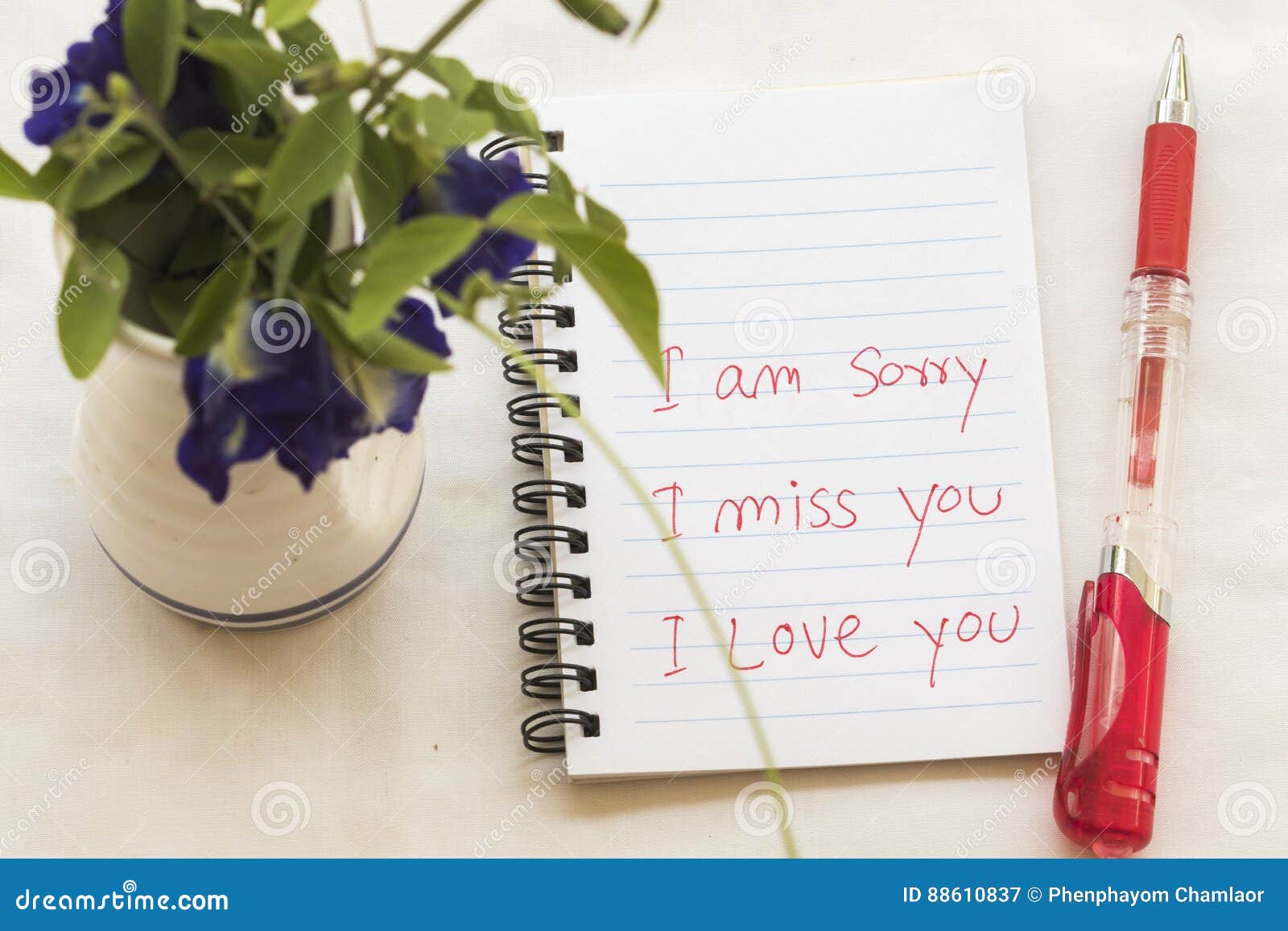 I Miss You I am Sorry I Love You Message Card Write on Notebook ...