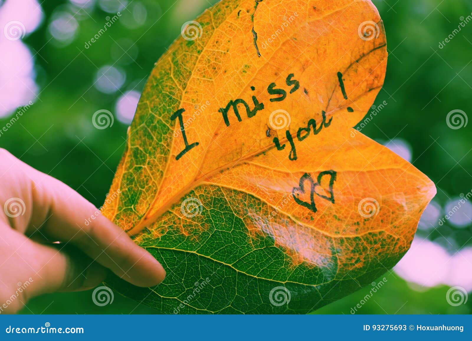 25 Best Miss you images ideas | miss you images, miss you, i miss you cute