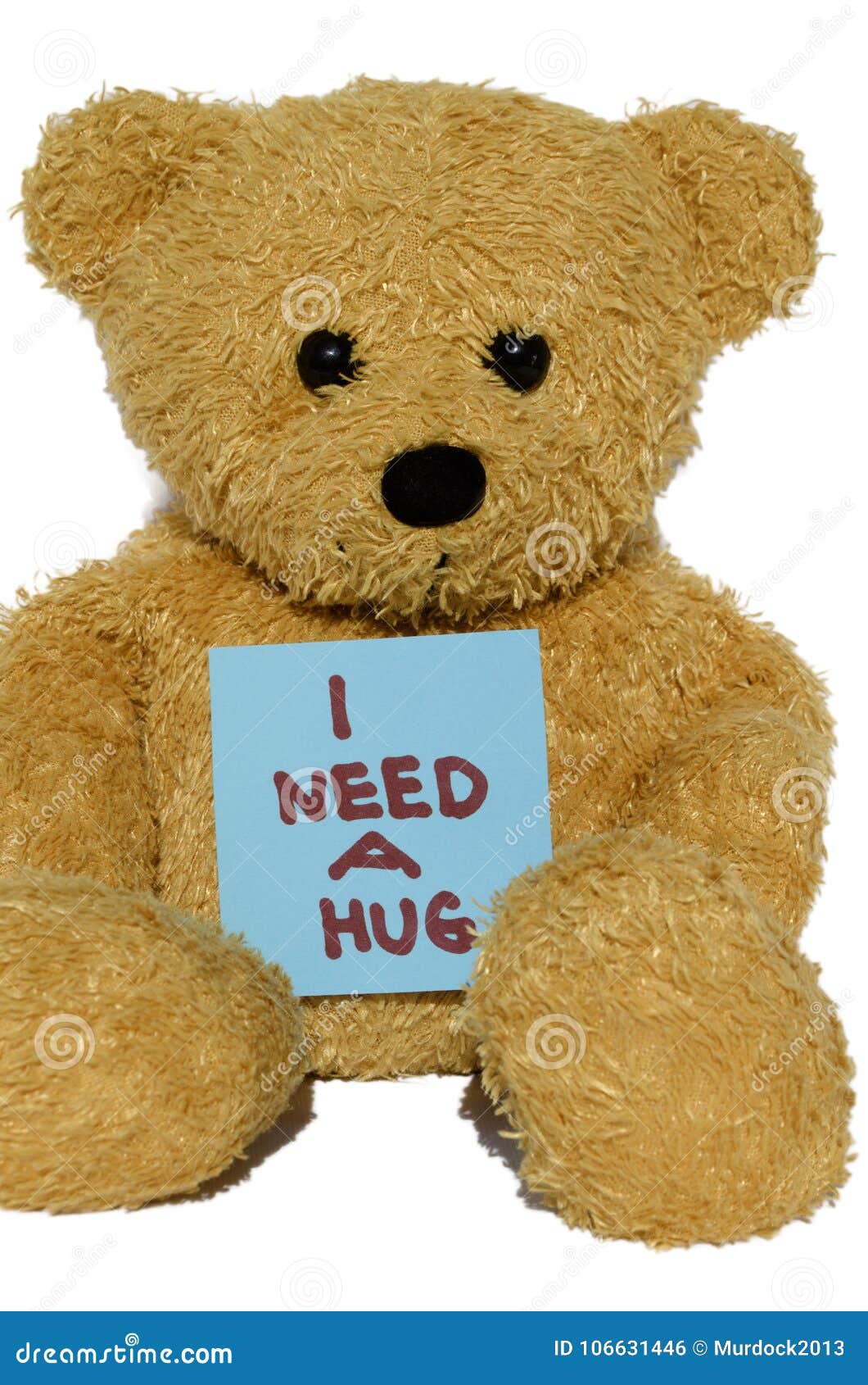 Gift 'Need A Hug' Teddy Bear in Hoodie Brown/Ivory or Champagne 16999 