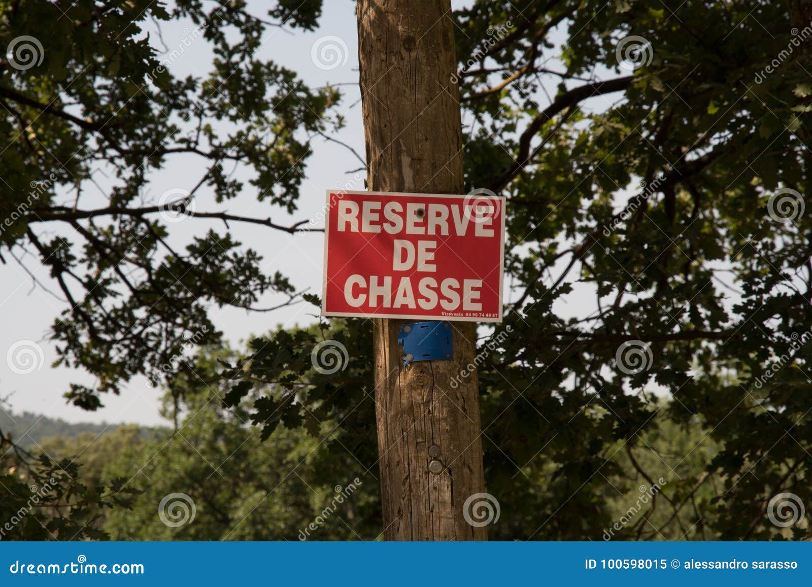 I simboli e firma dentro i sentieri nel bosco