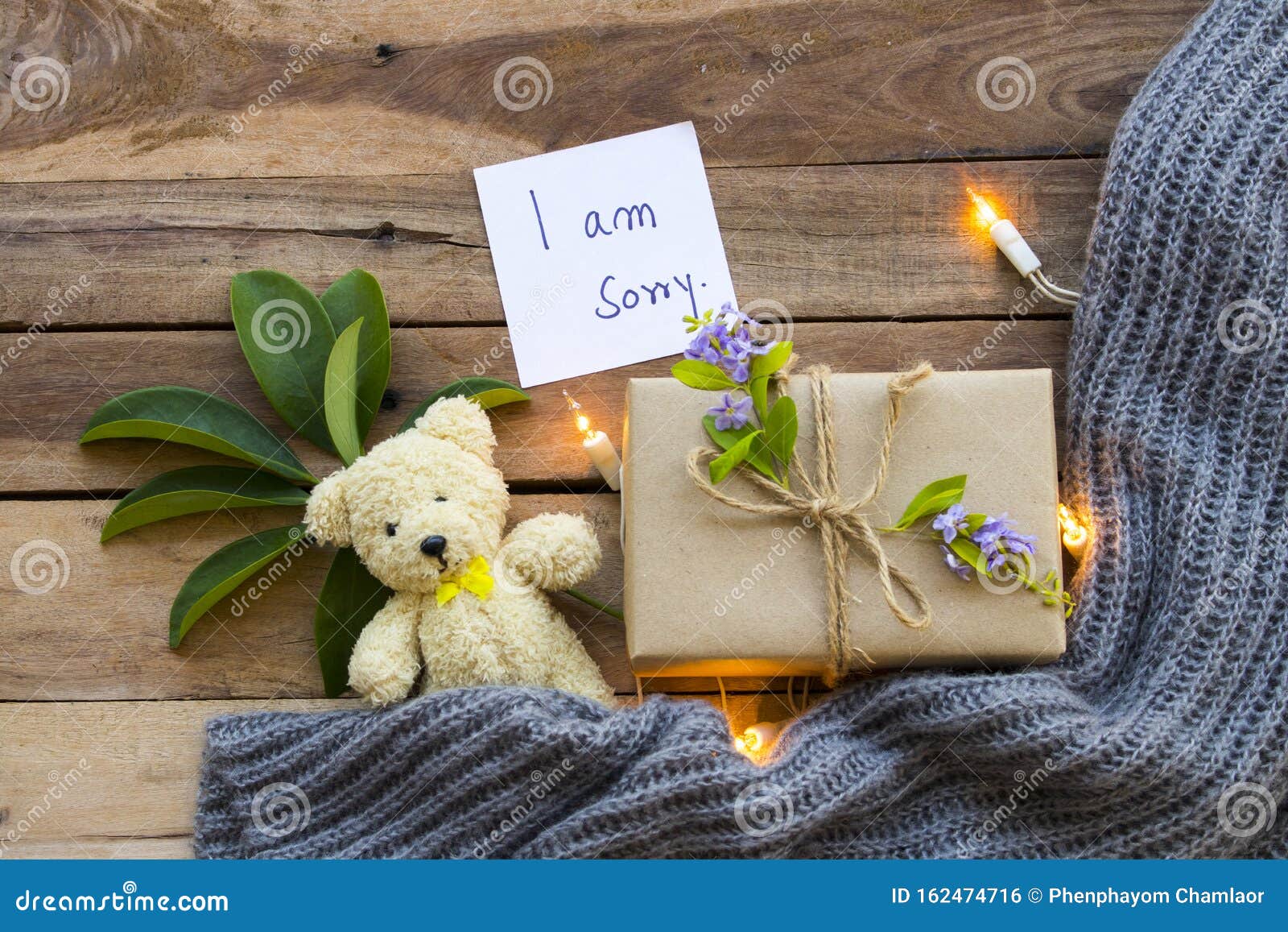 I am Sorry Message Card Handwriting with Gift Box , Light ,teddy ...