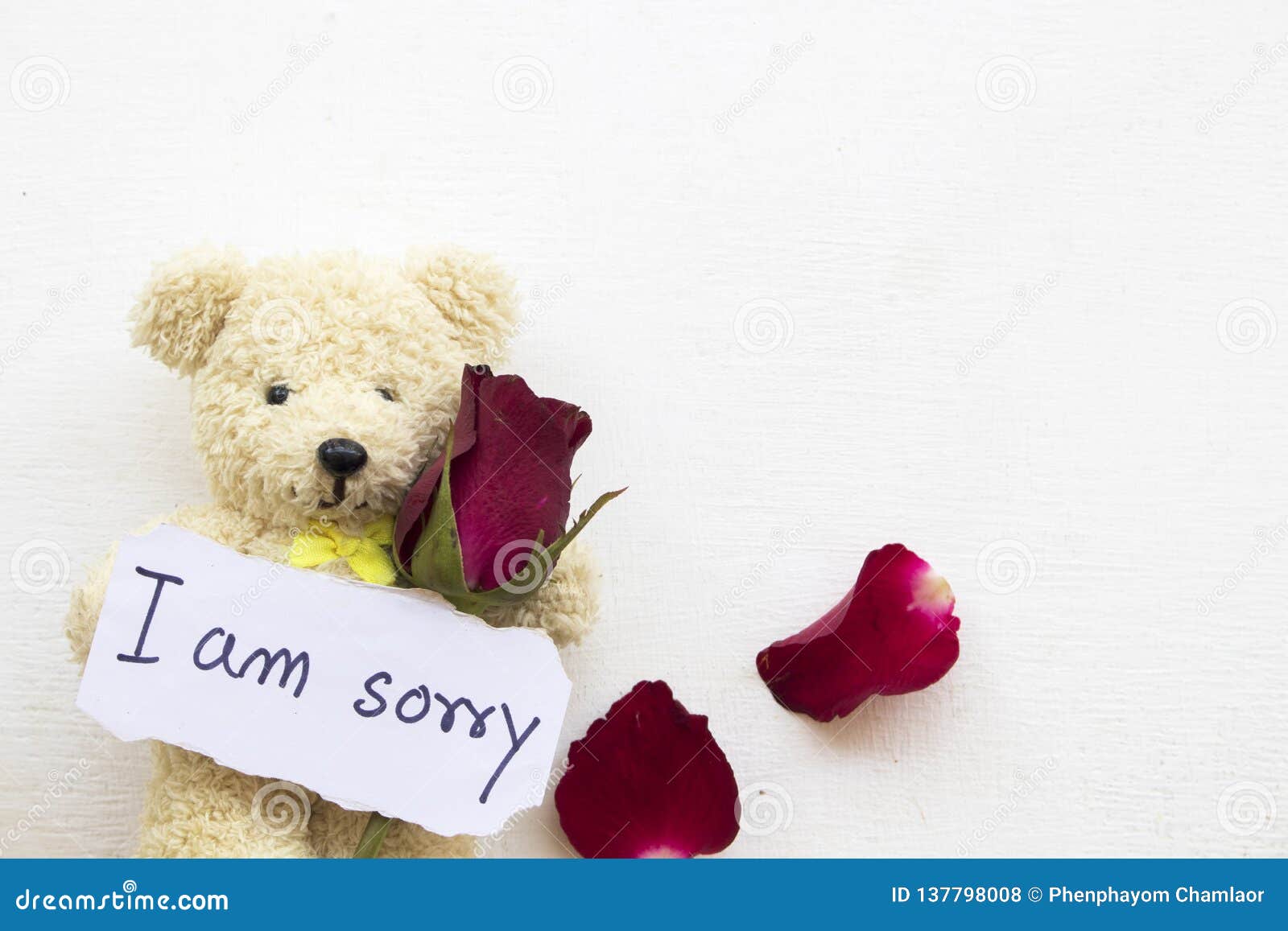 teddy bear saying sorry