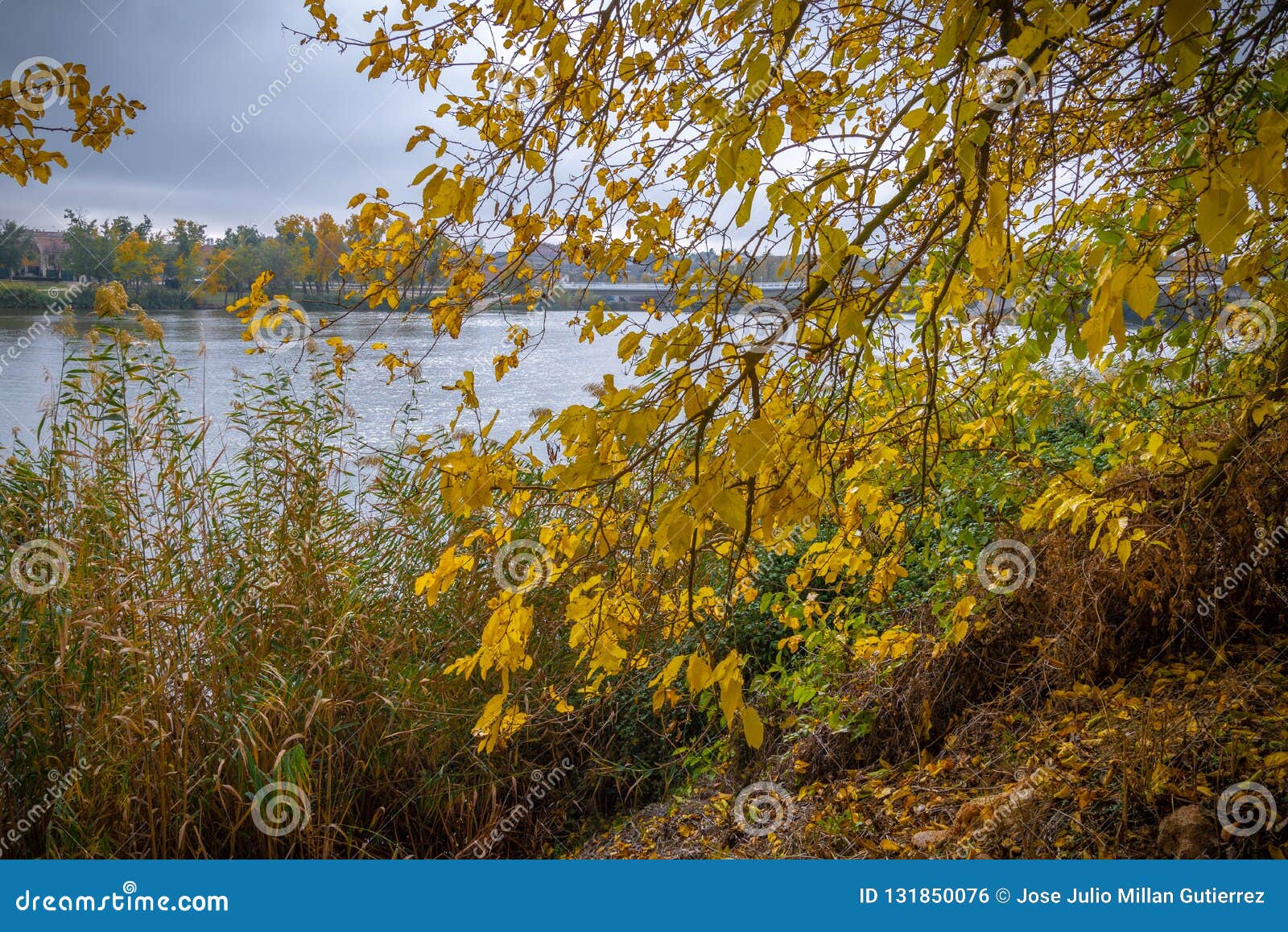 hoist fall of leaves in autumn