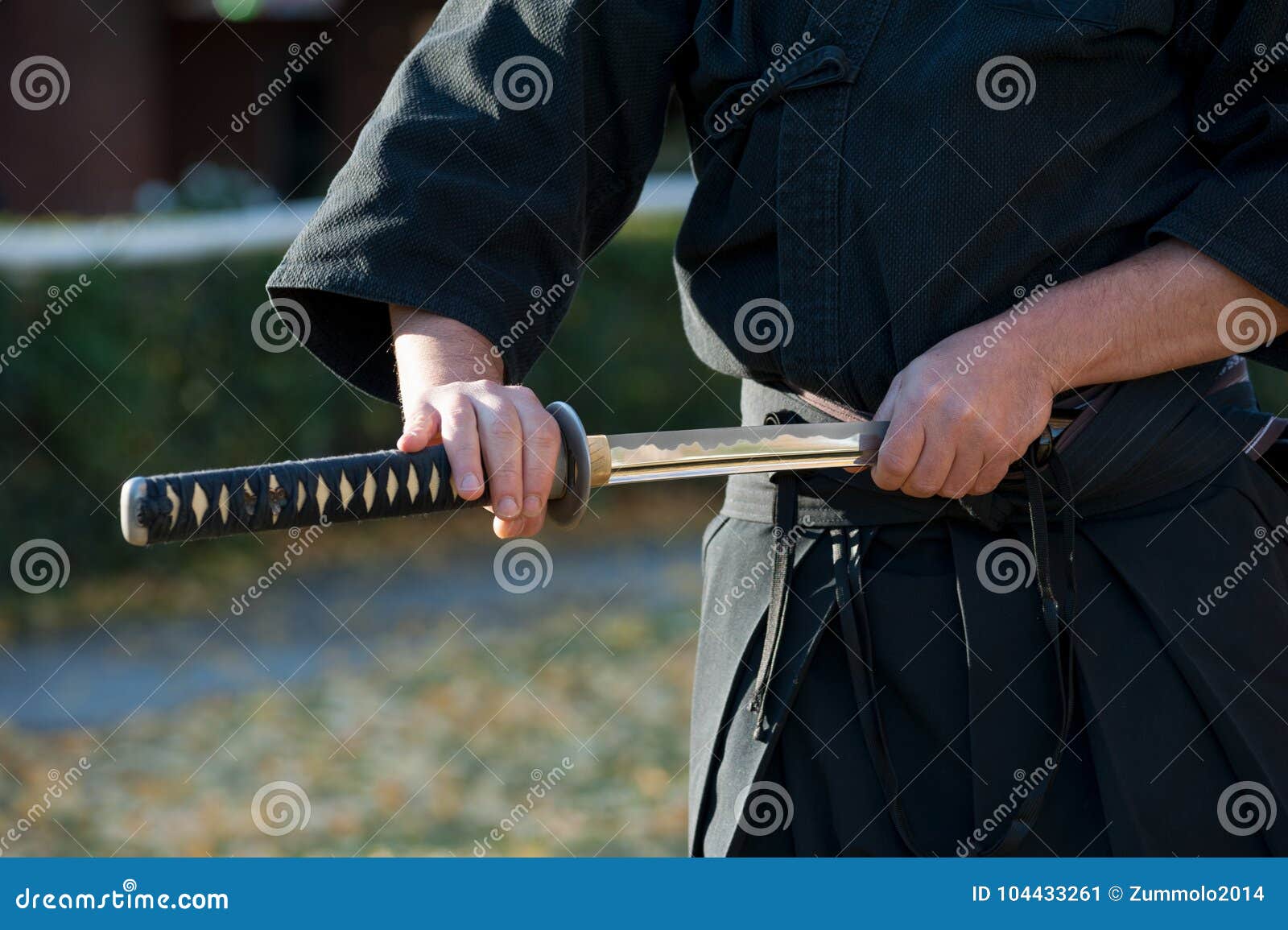 iaido martial art iaido martial art