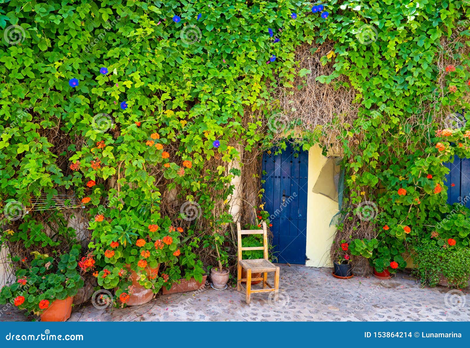 ibiza eivissa downtown dalt vila facades