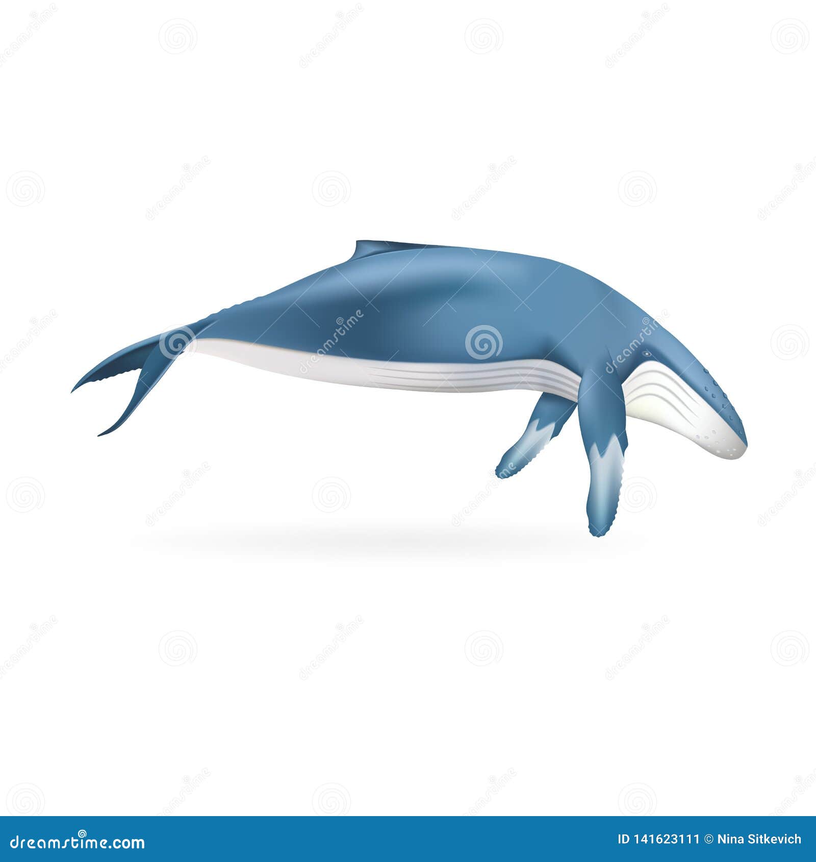 Icone De Baleine Bleue Style Realiste Illustration De Vecteur Illustration Du Icone Baleine 141623111