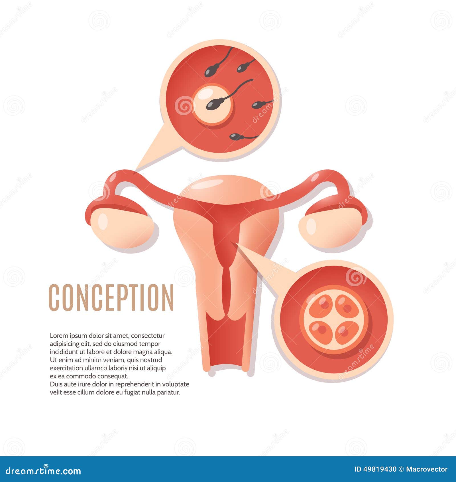 Icône De Conception De Grossesse Illustration de Vecteur Illustration