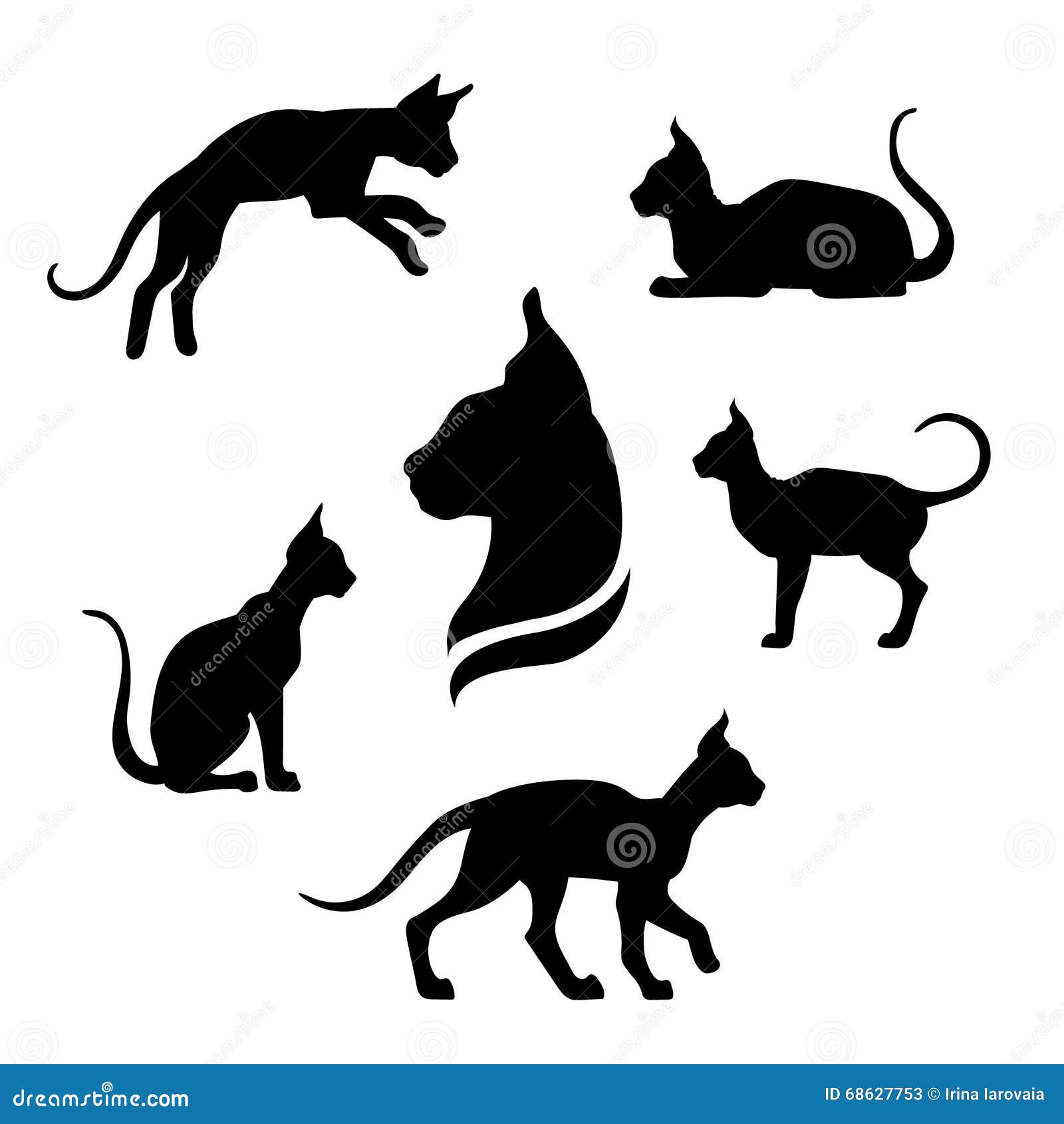 Icones Et Silhouettes De Chat De Sphynx Illustration De Vecteur Illustration Du Configuration Chaton