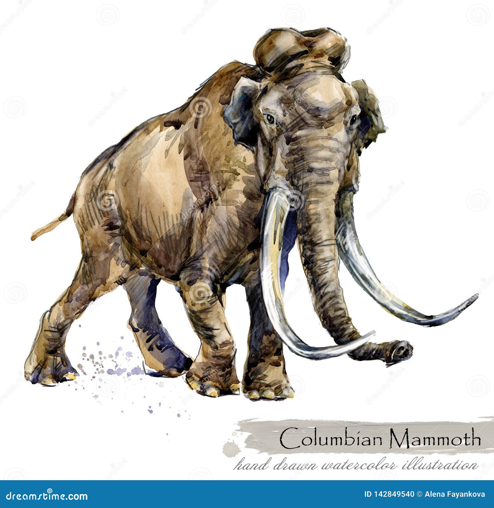 ice age wildlife. prehistoric period fauna. columbian mammoth.