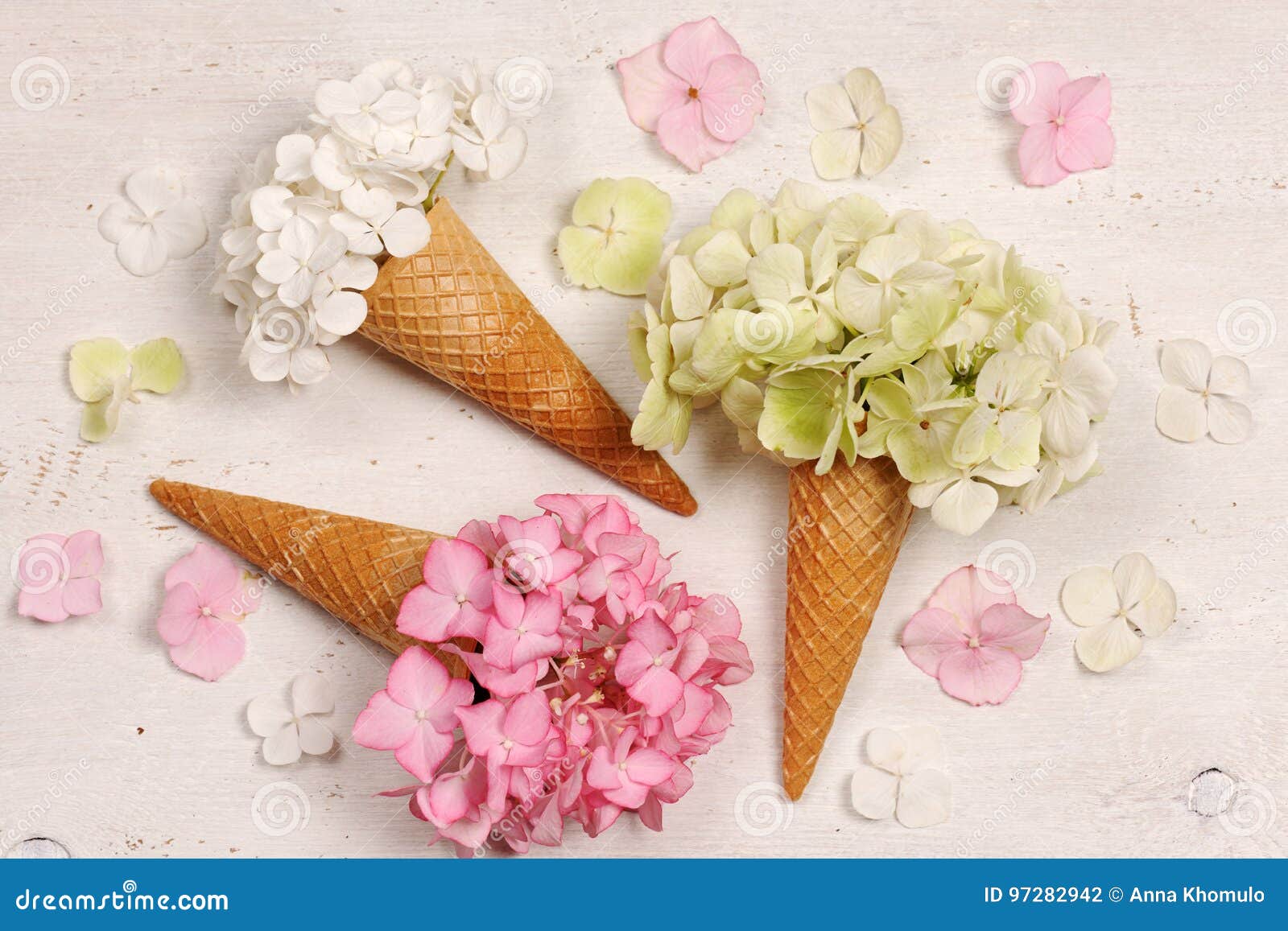 Ice Cream Cones with Hydrangea Flowers Stock Photo Image of blossom