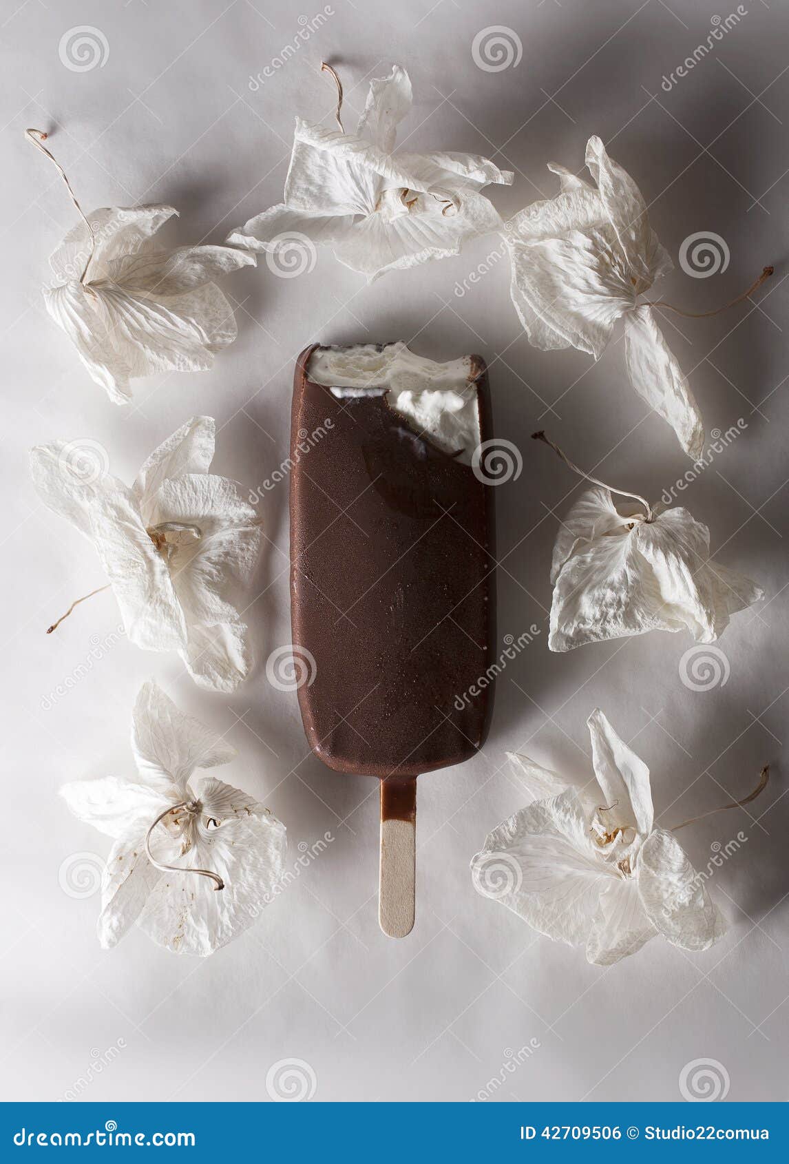 Ice Cream with Edible Flowers Stock Photo Image of still, composition