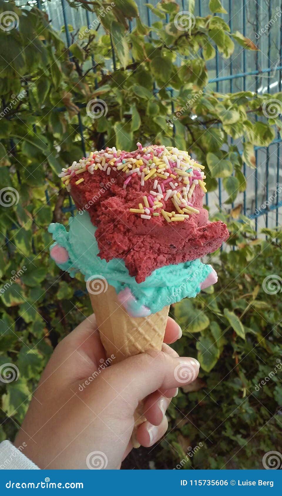 Ice Cream stock photo. Image of cream, pink, germany 115735606