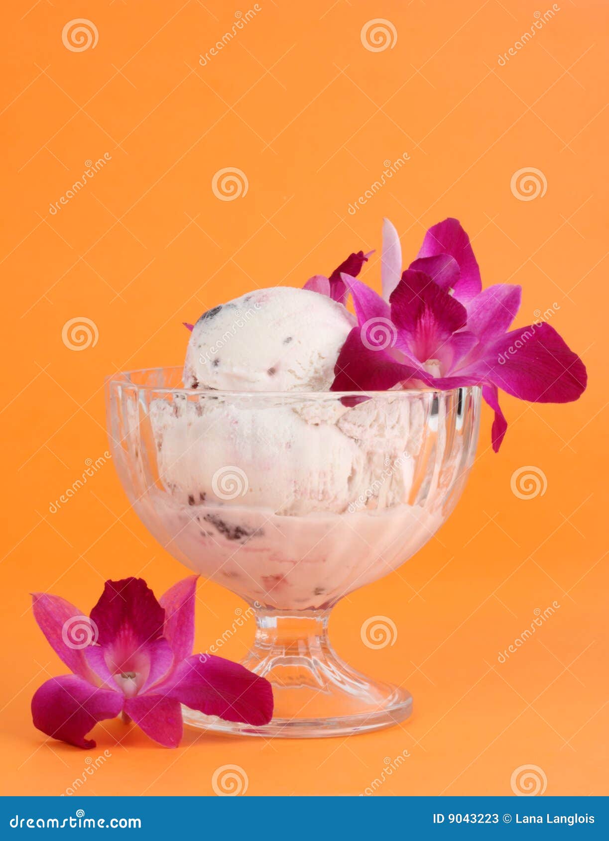 Ice cream and orchids stock image. Image of goblet, orange 9043223