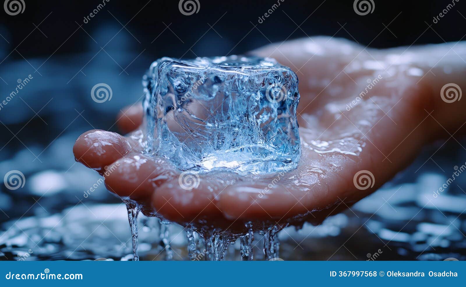 Ice Cube Melting in a Hand with Water Dripping Off. Stock Photo - Image of  transparency, nature: 367997568, image size:1600x987