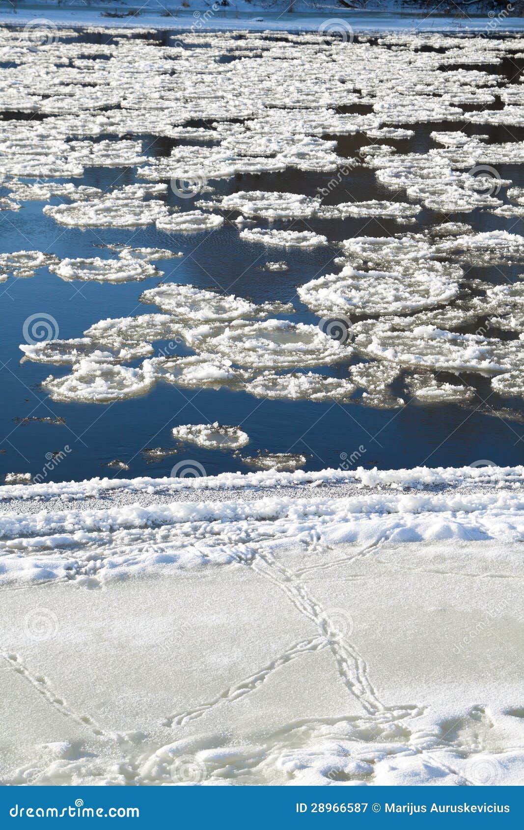 Ice drift stock image. Image of floating, climate, outdoors 28966587