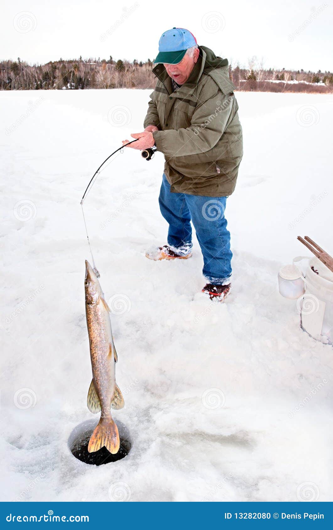 Ice Fisherman Pulling a Big Pike Stock Photo Image of line, activity