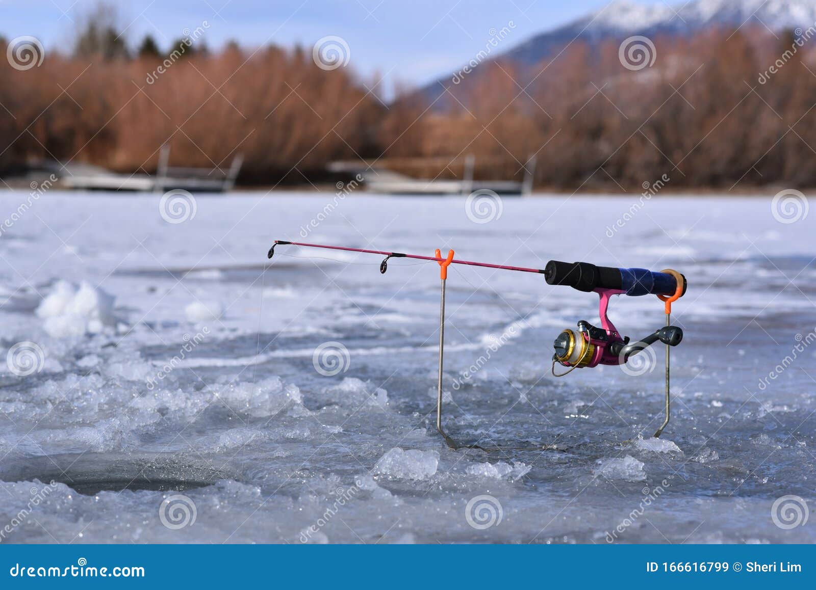 9,845 Fish Fishing Pole Stock Photos - Free & Royalty-Free Stock Photos  from Dreamstime